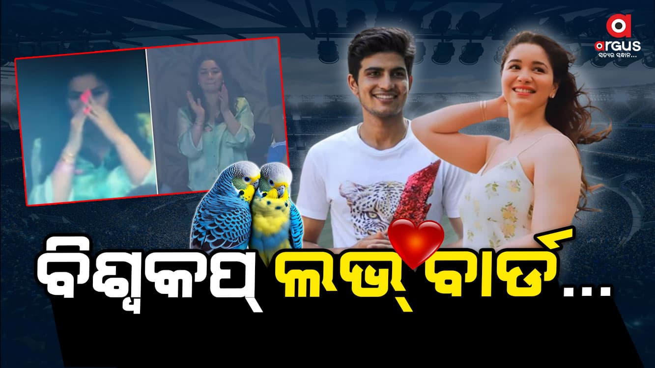 ଜମୁଛି ବିଶ୍ବକପ ୨୦୨୩ : ଦେଖିବାକୁ ମିଳିଛୁ ଲଭ୍ ବାର୍ଡଙ୍କ ପ୍ରେମ କାହାଣୀ