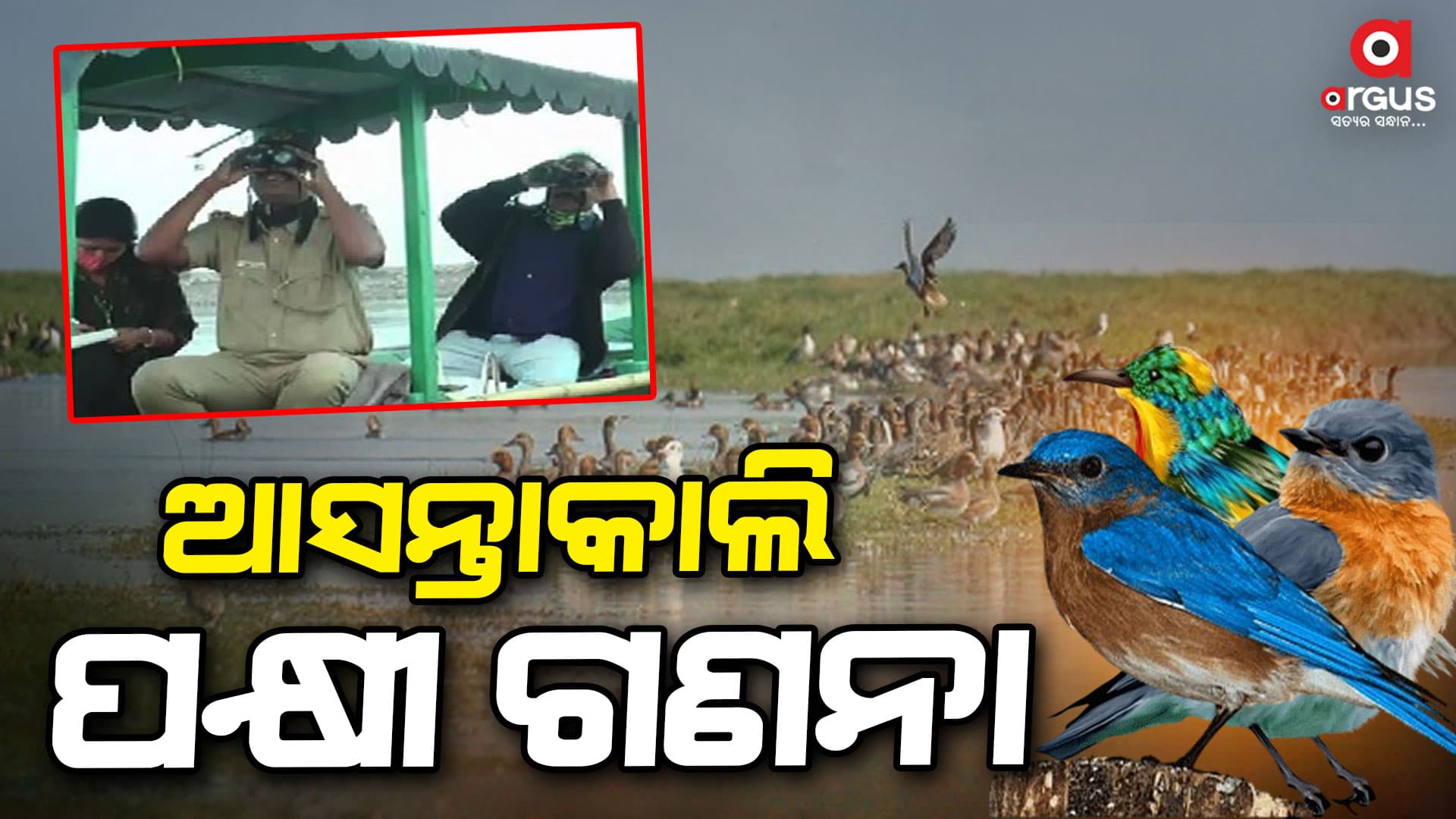 ଚିଲିକାରେ ହେବ ପକ୍ଷୀ ଗଣନା, ଗଣିବେ ୨୧ଟି ଟିମ୍‌ 
