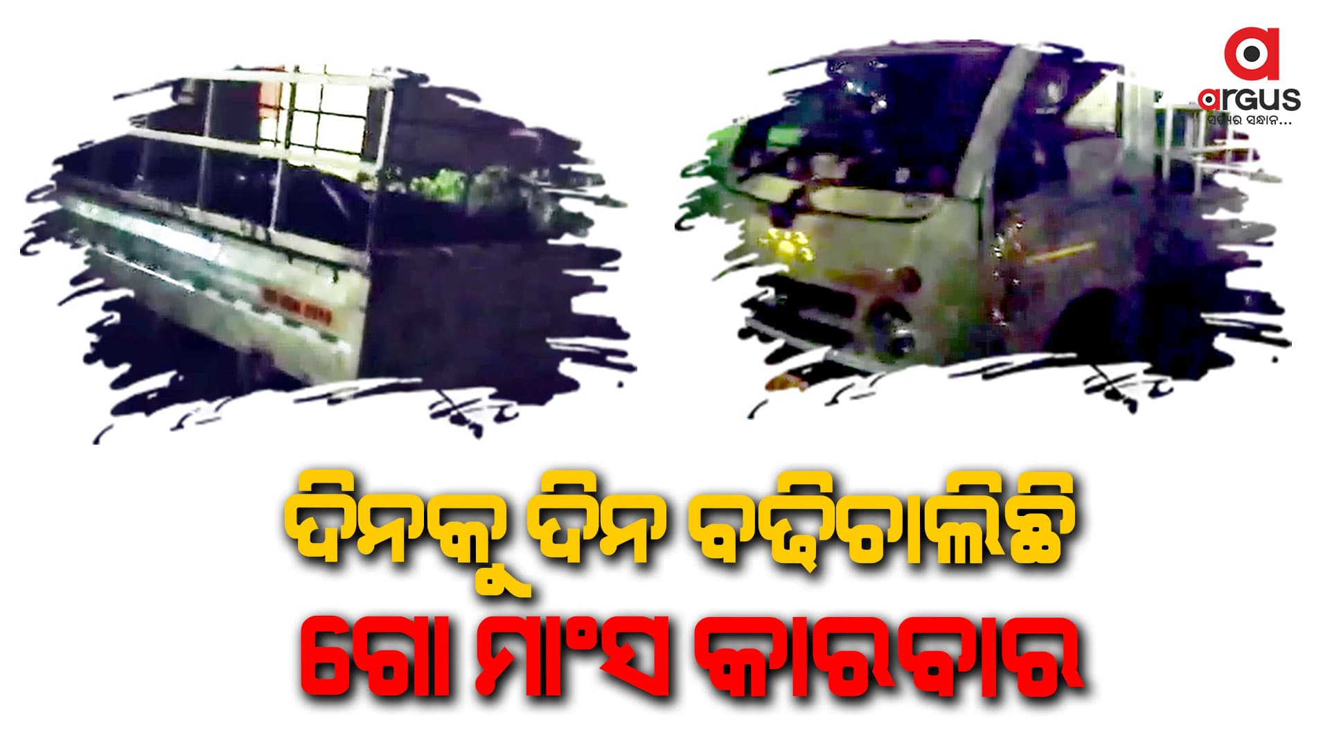 ପୁରୀ ଜିଲ୍ଲା ନିମାପଡାରୁ ଜବତ ହେଲା ଗୋ ମାଂସ