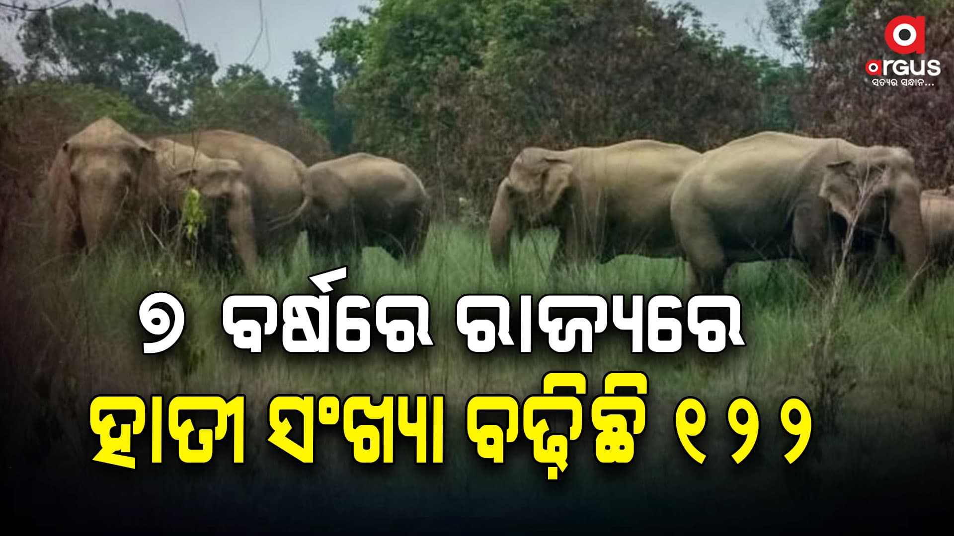 ଆସିଲା ରାଜ୍ୟର ନିଜସ୍ଵ ହାତୀ ଗଣନା ରିପୋର୍ଟ
