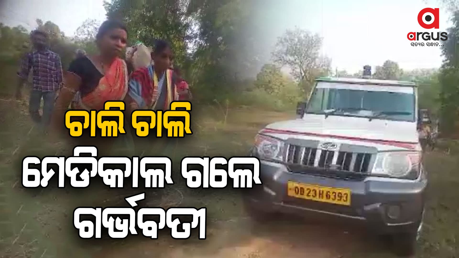 ଗାଁକୁ ରାସ୍ତା ନଥିବାରୁ ପହଞ୍ଚି ପାରିଲାନାହିଁ ଆମ୍ବୁଲାନ୍ସ, ଚାଲି ଚାଲି ଗଲେ ଗର୍ଭବତୀ