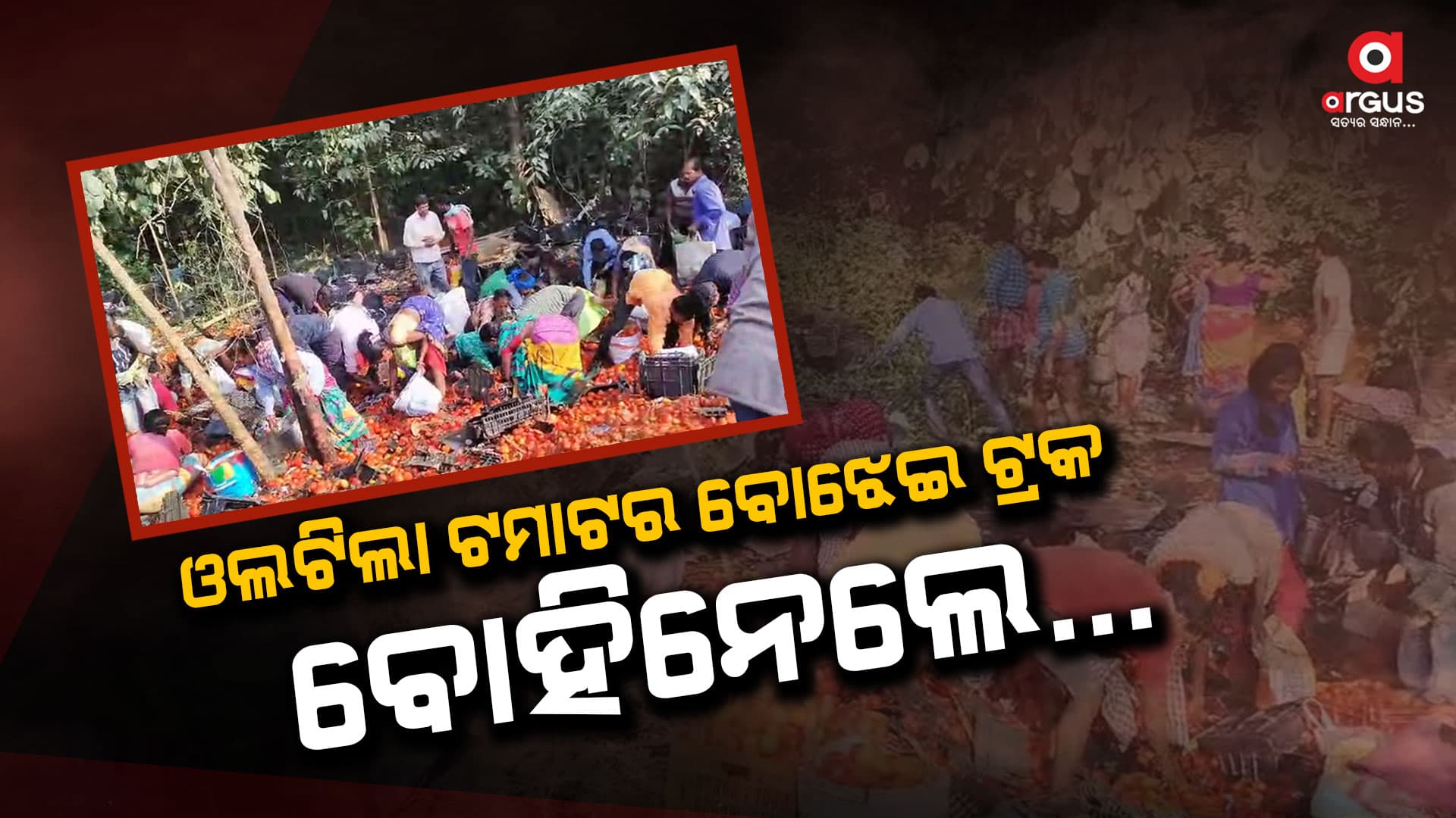 ମାନବିକତା ଭୁଲିଗଲେ, ଯିଏ ଯେତେ ପାରିଲେ ବୋହି ନେଲେ