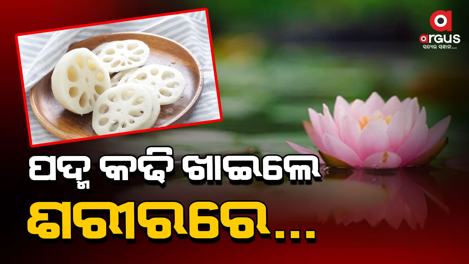 ଓଜନ ହ୍ରାସ କରିବାରେ ସାହାଯ୍ୟକାରୀ ପଦ୍ମ କଢି