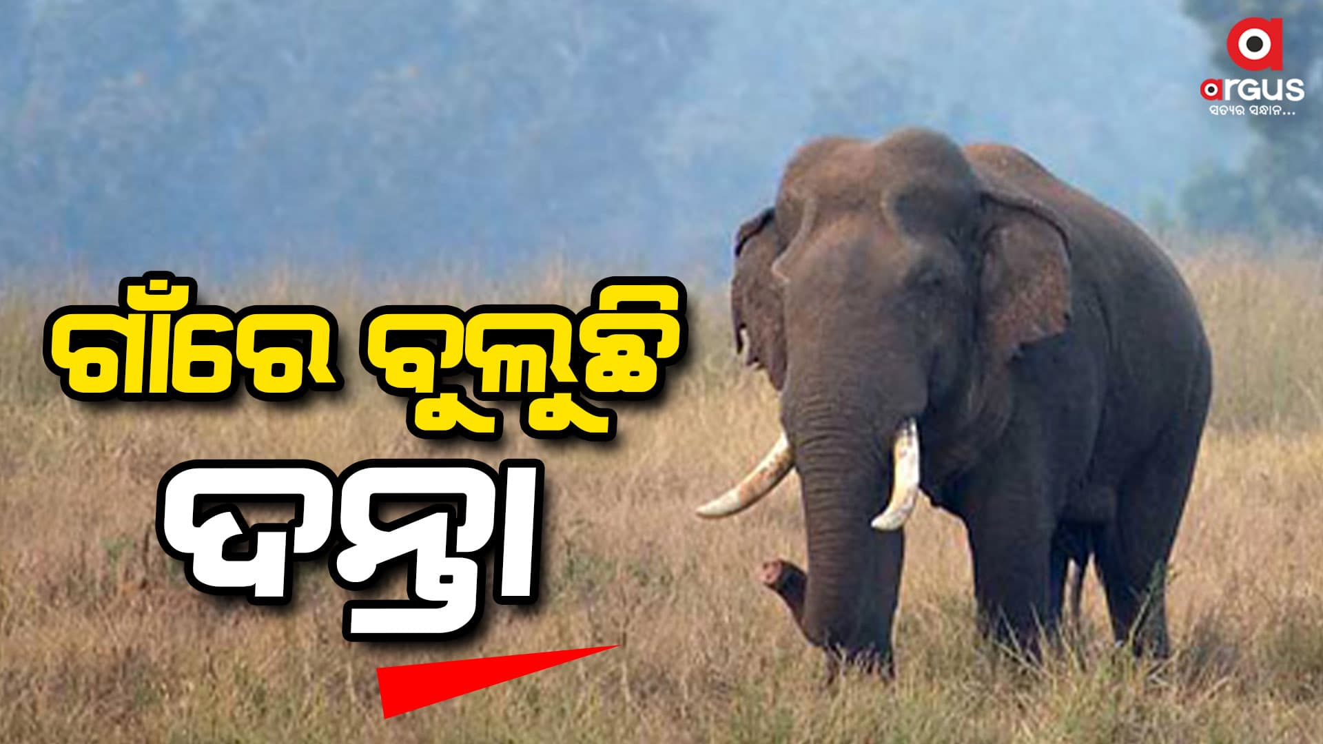 ଦନ୍ତା ଆତଙ୍କ, ଭୟଭୀତ ଗ୍ରାମବାସୀ
