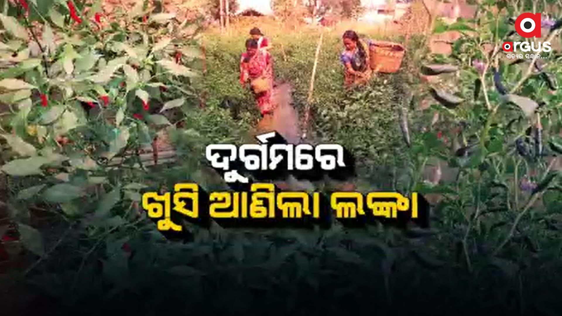 ଲଙ୍କାରୁ ମିଳୁଛି ମୁଠାଏ ଟଙ୍କା
