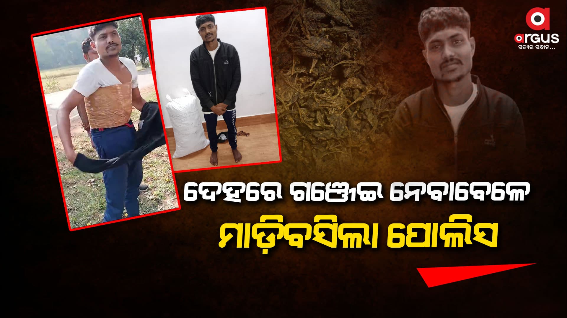 ଅଭିନବ ଉପାୟରେ ଚାଲିଛି ଗଞ୍ଜେଇ ଚୋରା ଚାଲାଣ