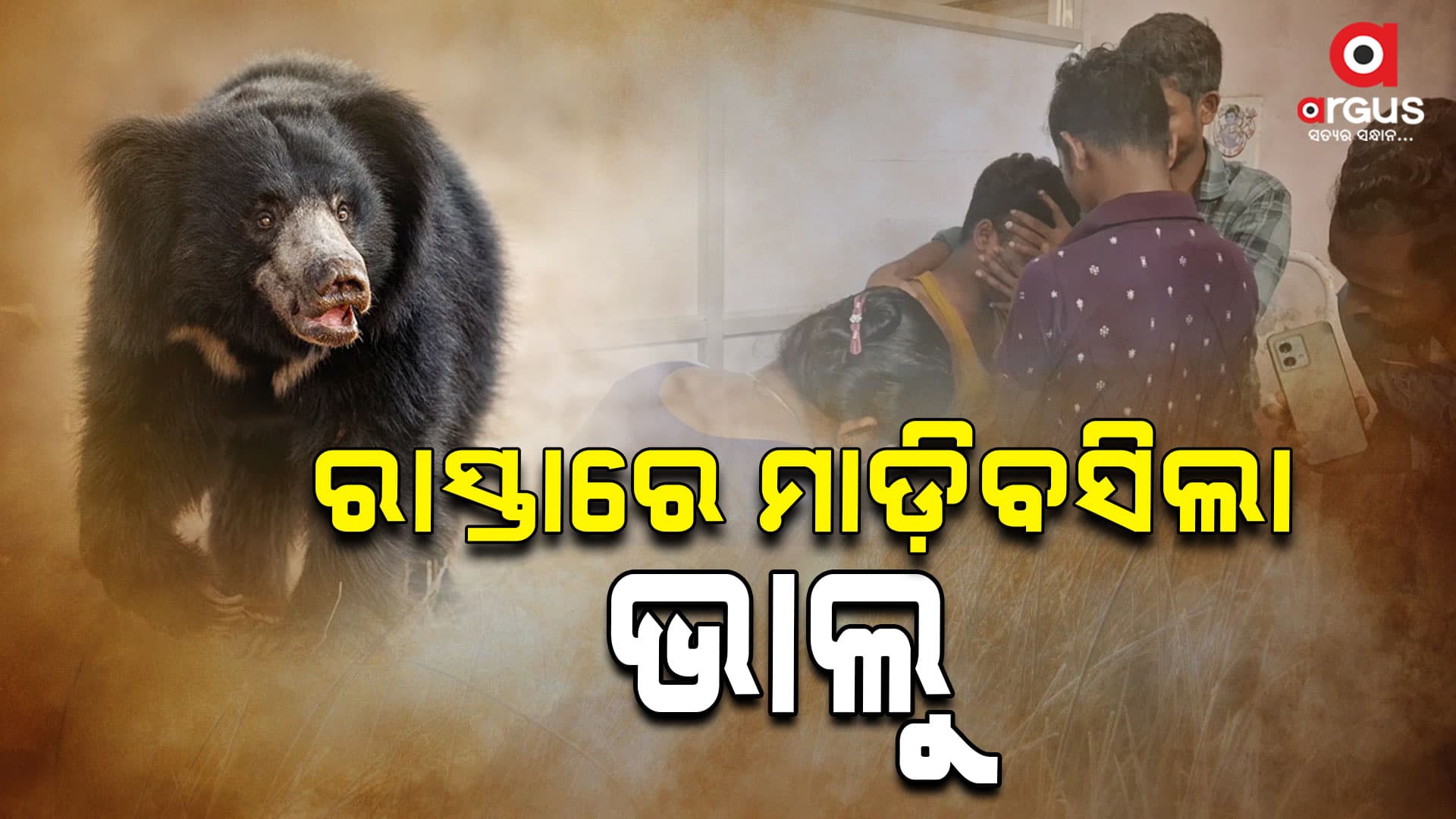 ଭାଲୁ ଆକ୍ରମଣରେ ଯୁବକ ଗୁରୁତର