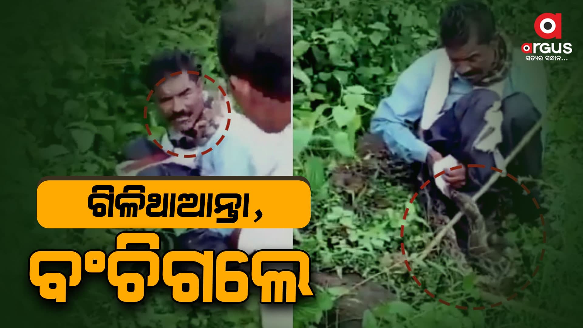 ଅଜଗର କବଳରୁ ଅଳ୍ପକେ ବର୍ତ୍ତିଲେ ବ୍ୟକ୍ତି