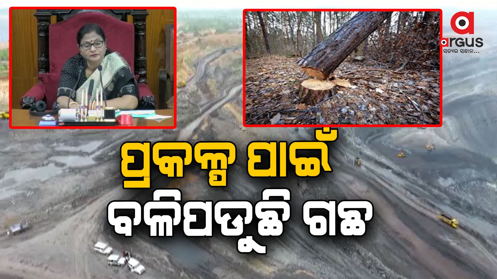 ୪୮୨ଟି ପ୍ରକଳ୍ପ ପାଇଁ ୨୬ ଲକ୍ଷ ୭୫ ହଜାର ୧୯୧ ଟି ଗଛ କଟାଯାଇଛି