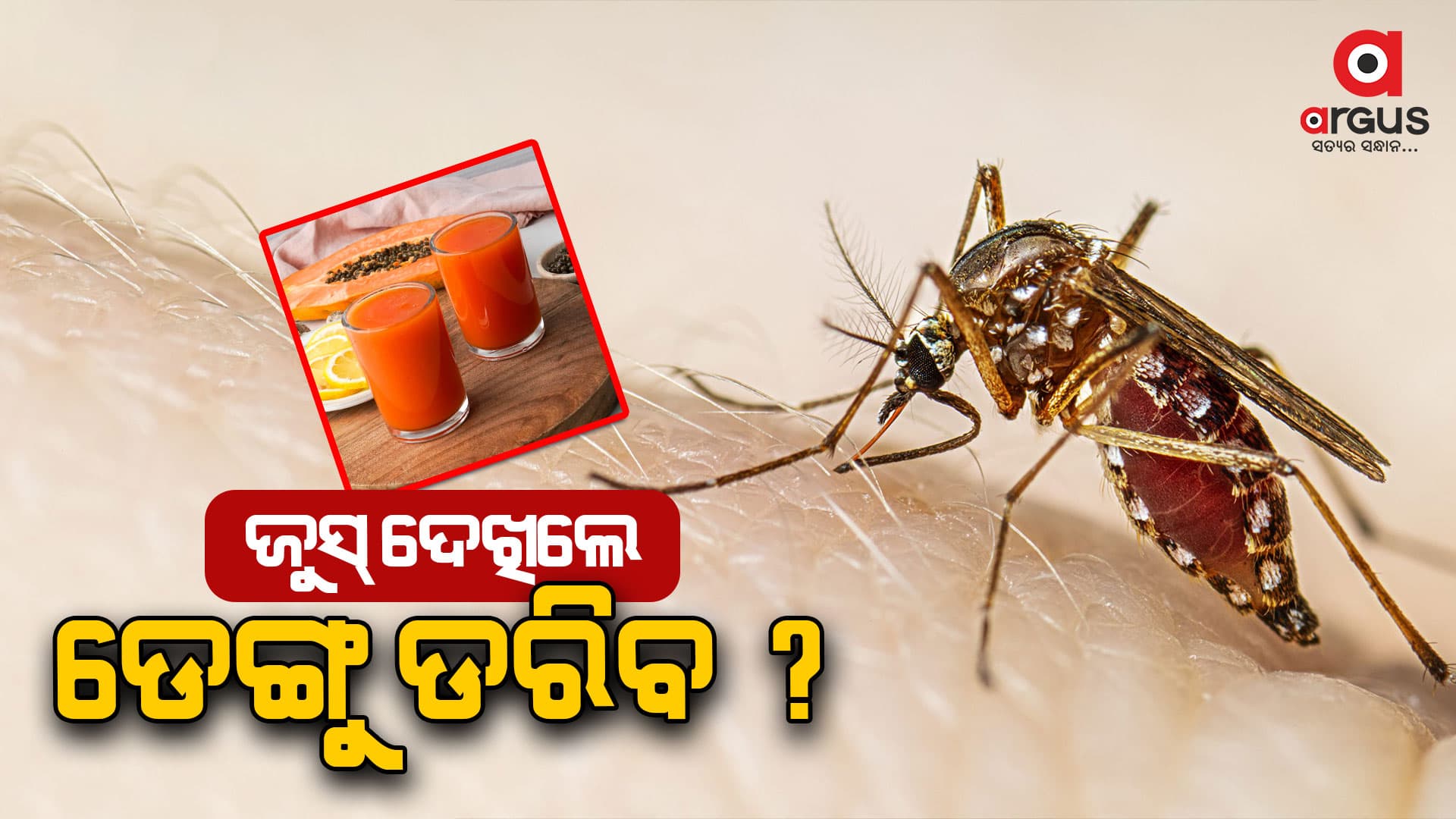 ଜୁସ୍ ଦେଖିଲେ ଡ଼ରିବ ଡ଼େଙ୍ଗୁ