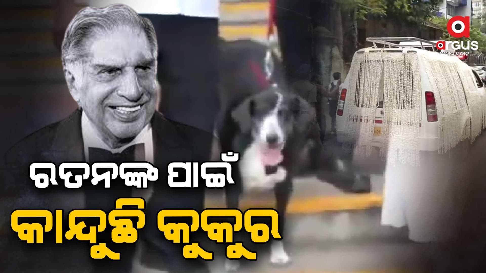 Speed 10 : ସ୍କ୍ରୋଲ କରନ୍ତୁ, ଅପଡେଟ୍‌ ନ୍ୟୁଜ ପାଆନ୍ତୁ