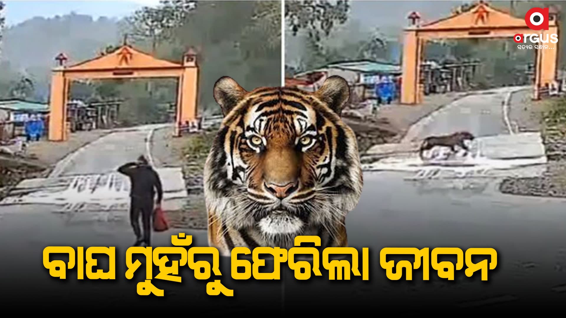 ମୃତ୍ୟୁକୁ ଚକମା ଦେଲେ ଯୁବକ: ସୋସିଆଲ ମିଡିଆରେ ଭିଡିଓ ଭାଇରାଲ