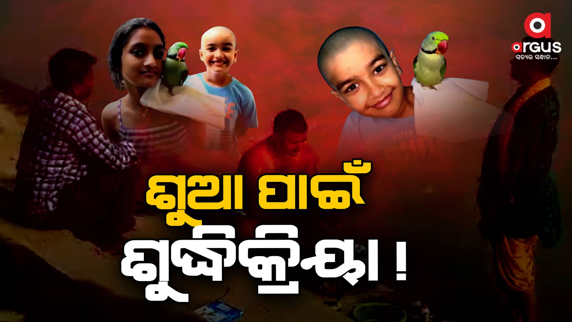 ୨୮ ବର୍ଷ ପରେ ଚାଲିଗଲା ଶୁଆ, ଶୁଦ୍ଧିକ୍ରିୟା କଲେ ପରିବାର ଲୋକେ