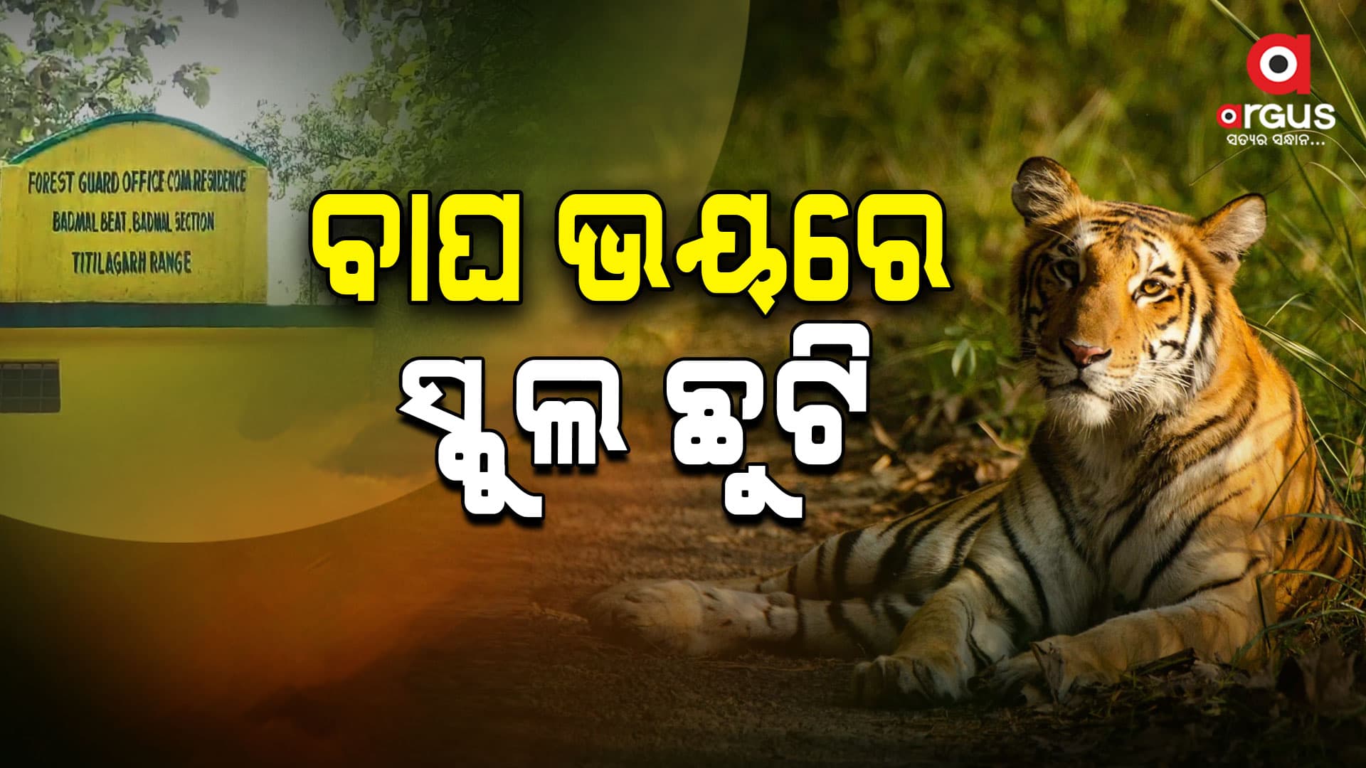 ବାଘ ଭୟରେ ସ୍କୁଲରେ ତାଲା