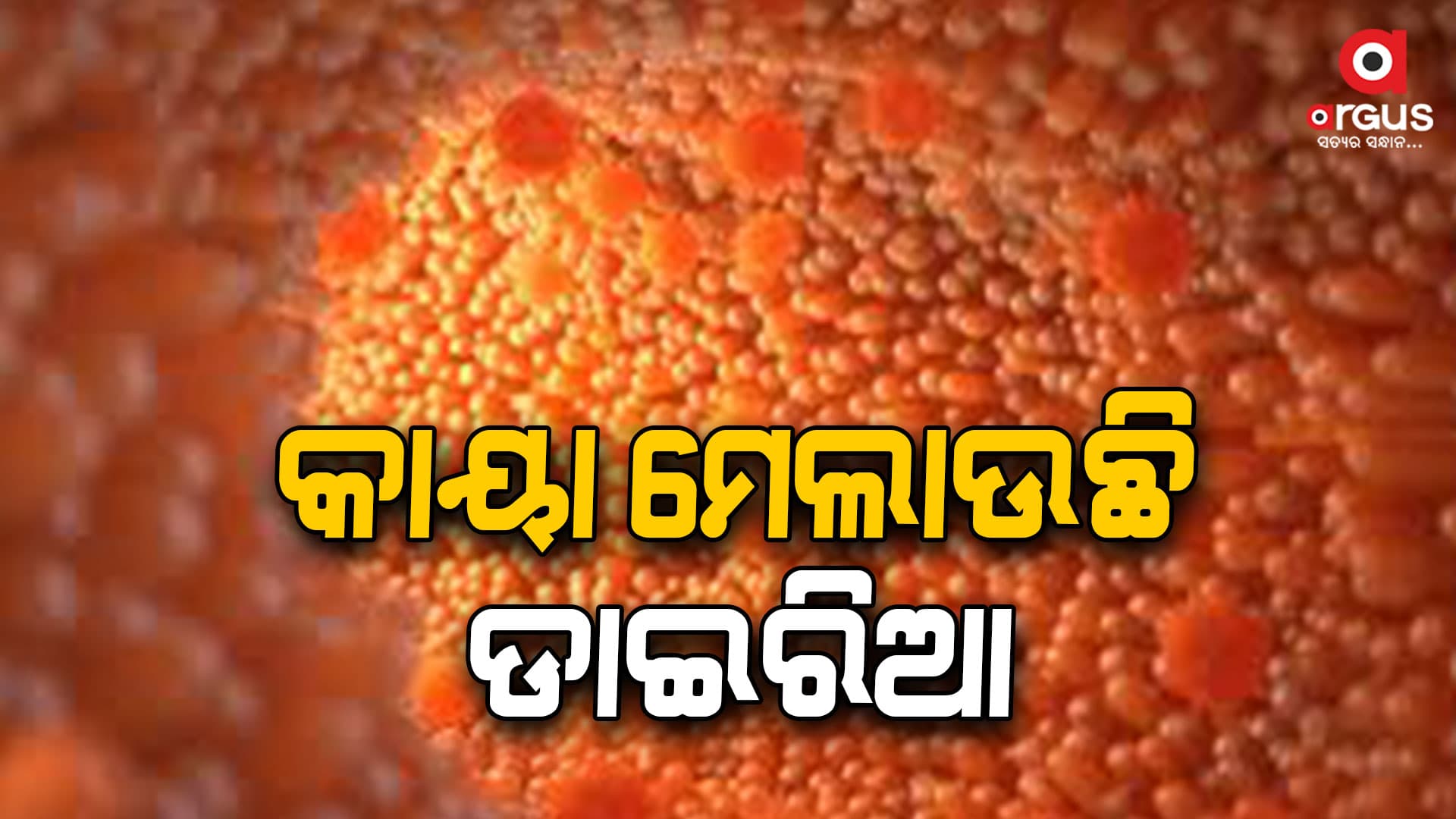 ପାରାଦୀପ ଗଡ଼ରେ ଡାଇରିଆ ଆତଙ୍କ