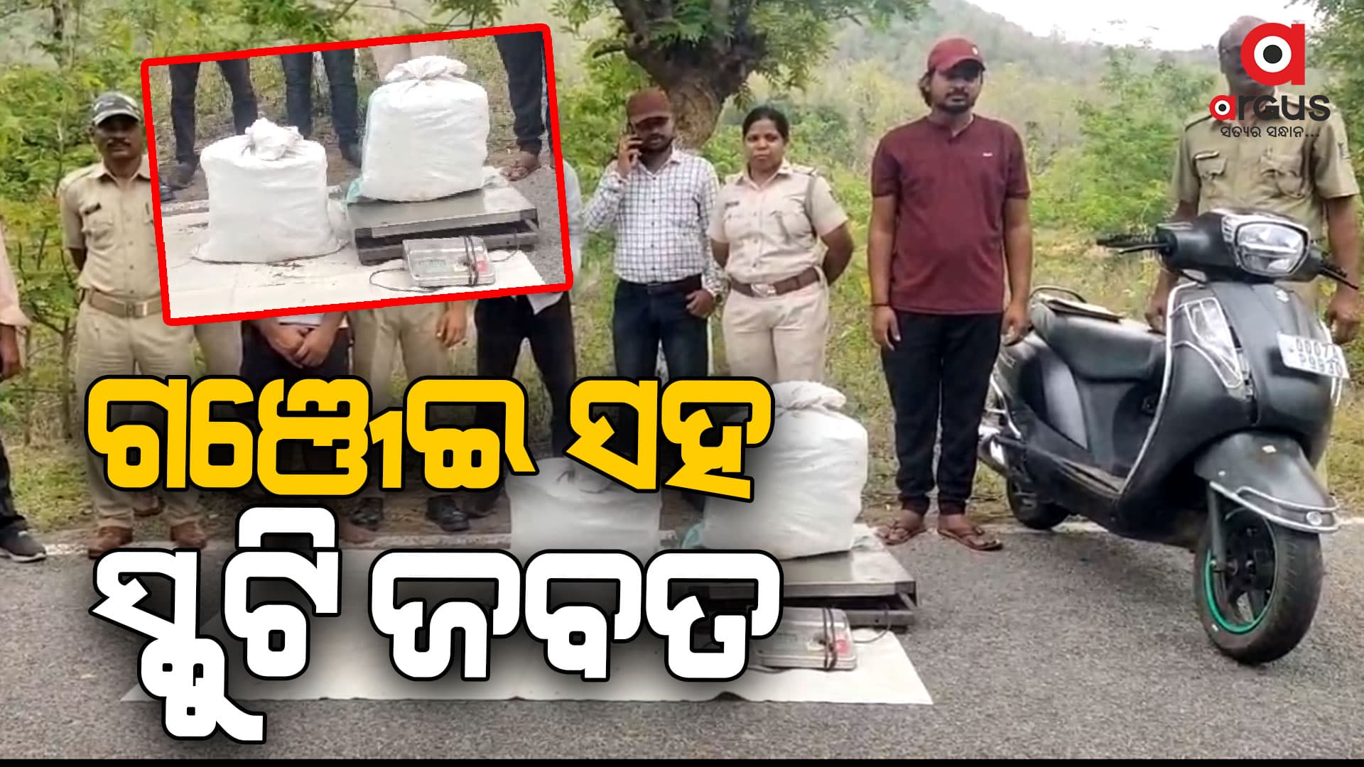 କୋଦଳାରୁ ଗୁଜରାଟ ଚୋରା ଚାଲାଣ ହେଉଥିବା ଗଞ୍ଜେଇ ଧରିଲା ପୋଲିସ