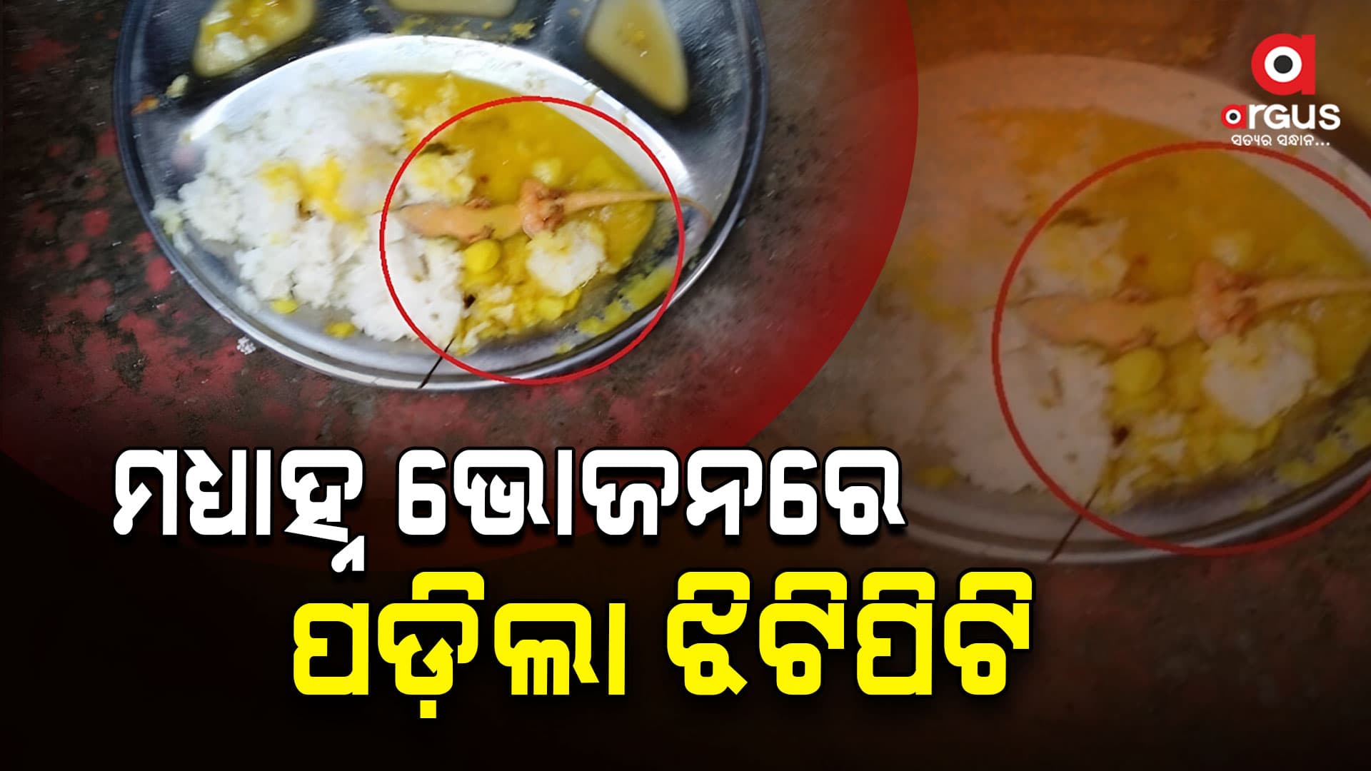 ମଧ୍ୟାହ୍ନ ଭୋଜନ ଖାଇ 50 ଜଣ ଛାତ୍ରଛାତ୍ରୀ ଅସୁସ୍ଥ
