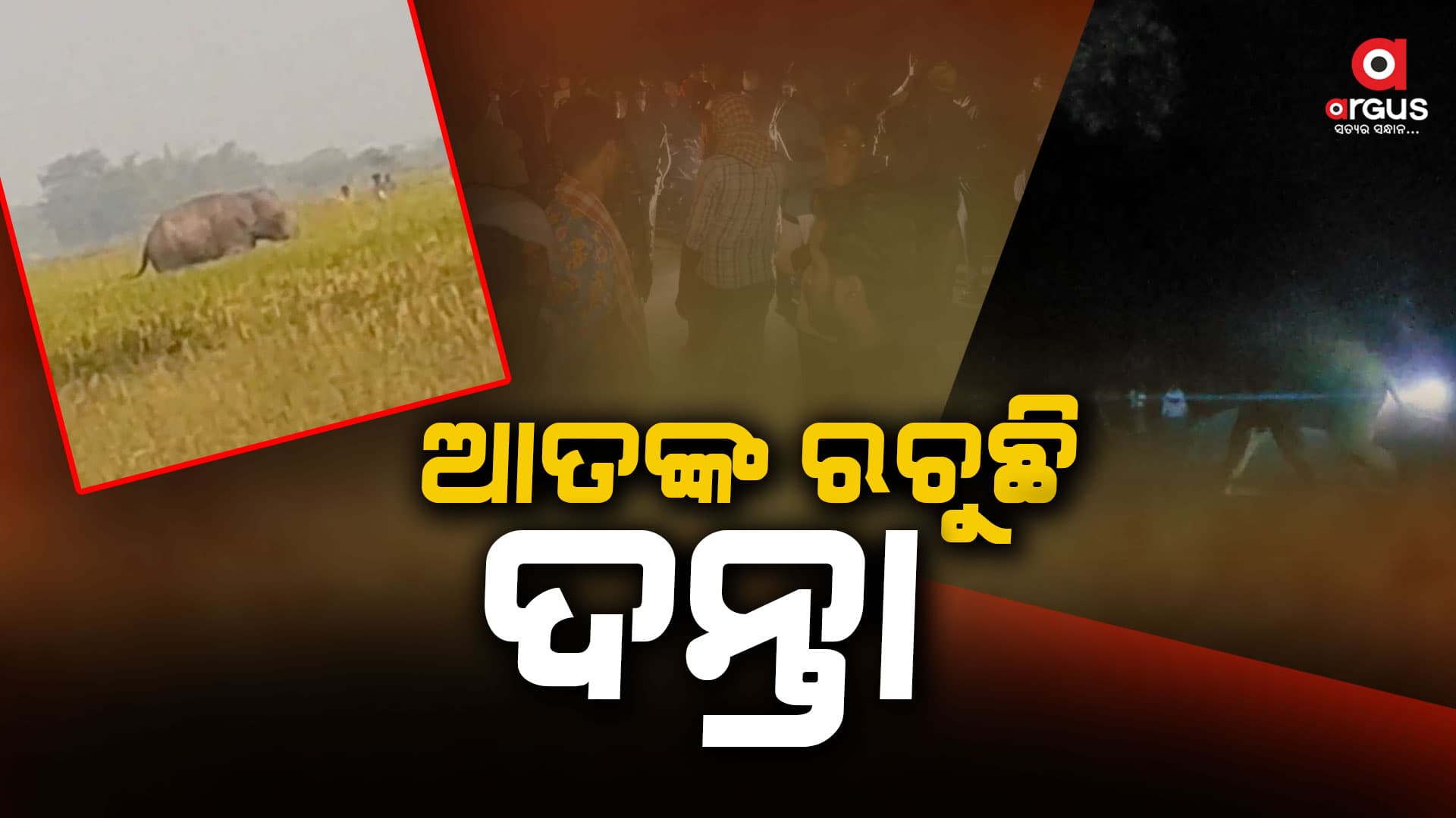 ଗାଁରେ ପଶୁଛି ଘରଦ୍ବାର ଭାଙ୍ଗୁଛି ଦନ୍ତା