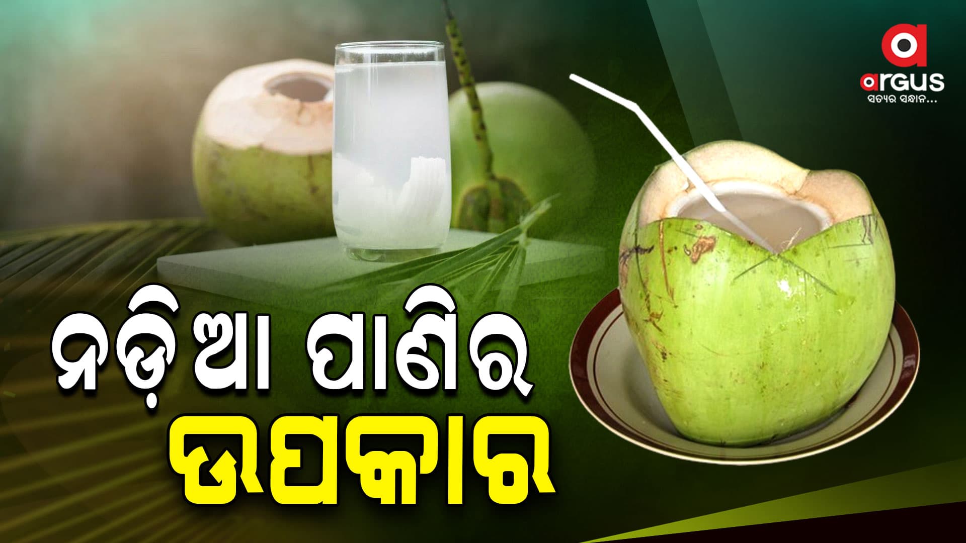 ଓଜନ କମାଇବ ନଡିଆ ପାଣି