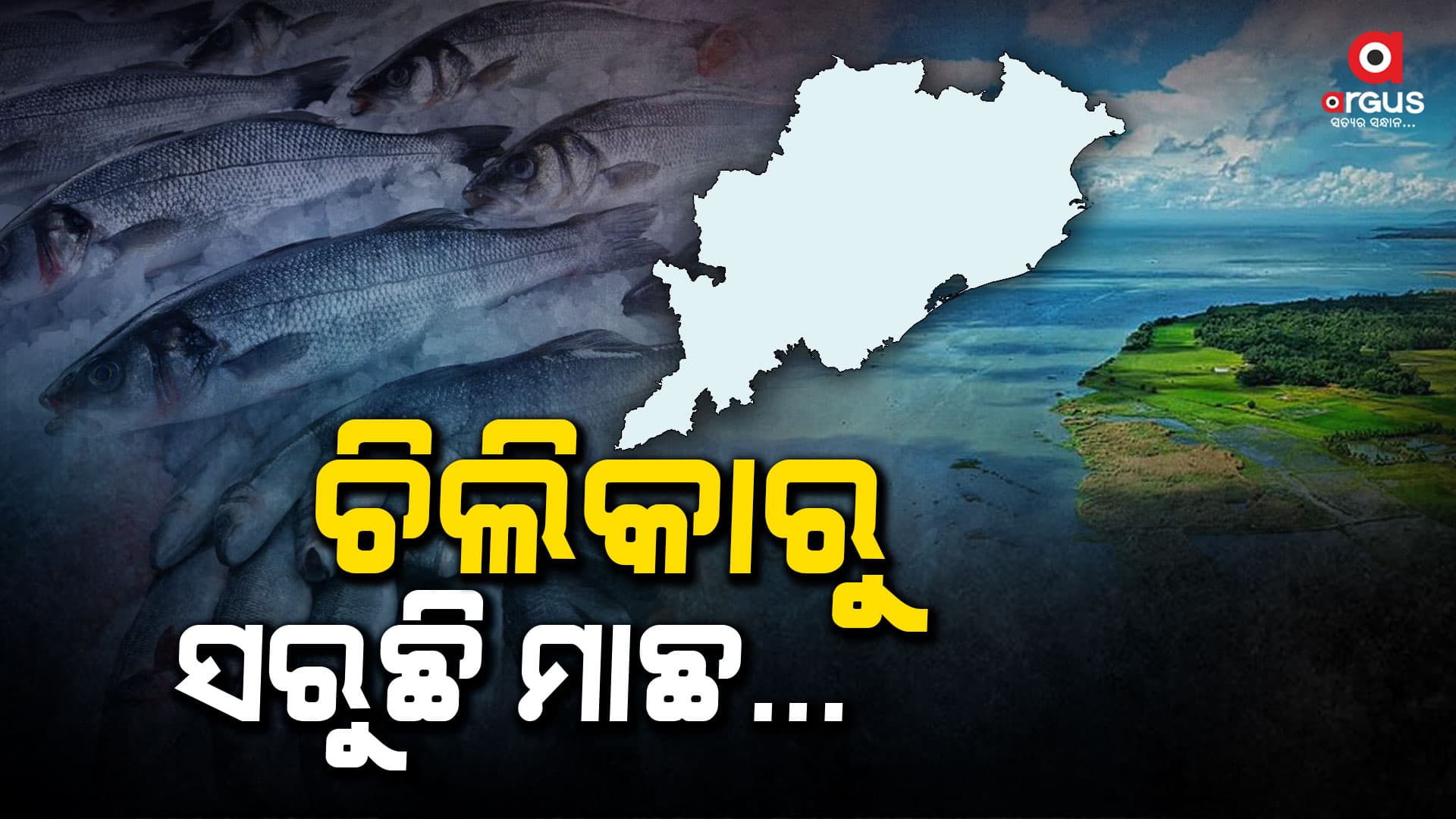 ଆନ୍ଧ୍ର ମାଛ-ଓଡିଶା ଖାଦ୍ୟ