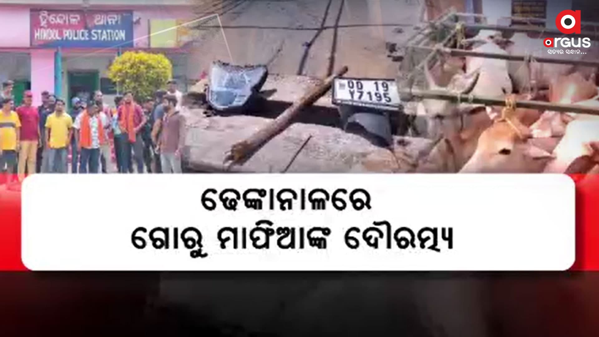 ହିନ୍ଦୋଳରେ ବଜରଙ୍ଗ ଦଳ ଉପରକୁ ଆଖିବୁଜା ଗୁଳିମାଡ଼