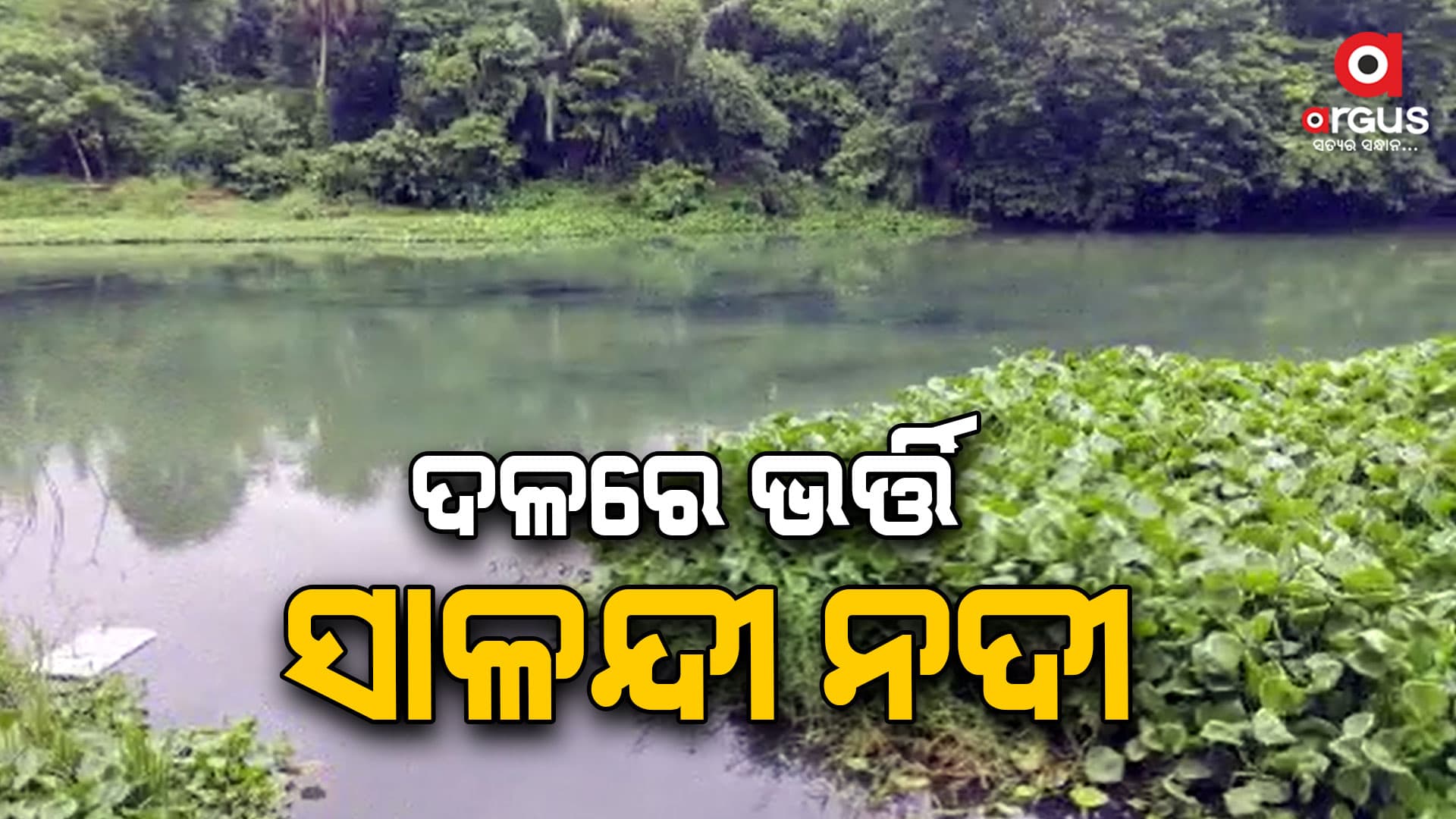 ଦଳରେ ଭର୍ତ୍ତି ସାଳନ୍ଦୀ ନଦୀ, ଜଳ ପ୍ରବାହ ବାଧାପ୍ରାପ୍ତ