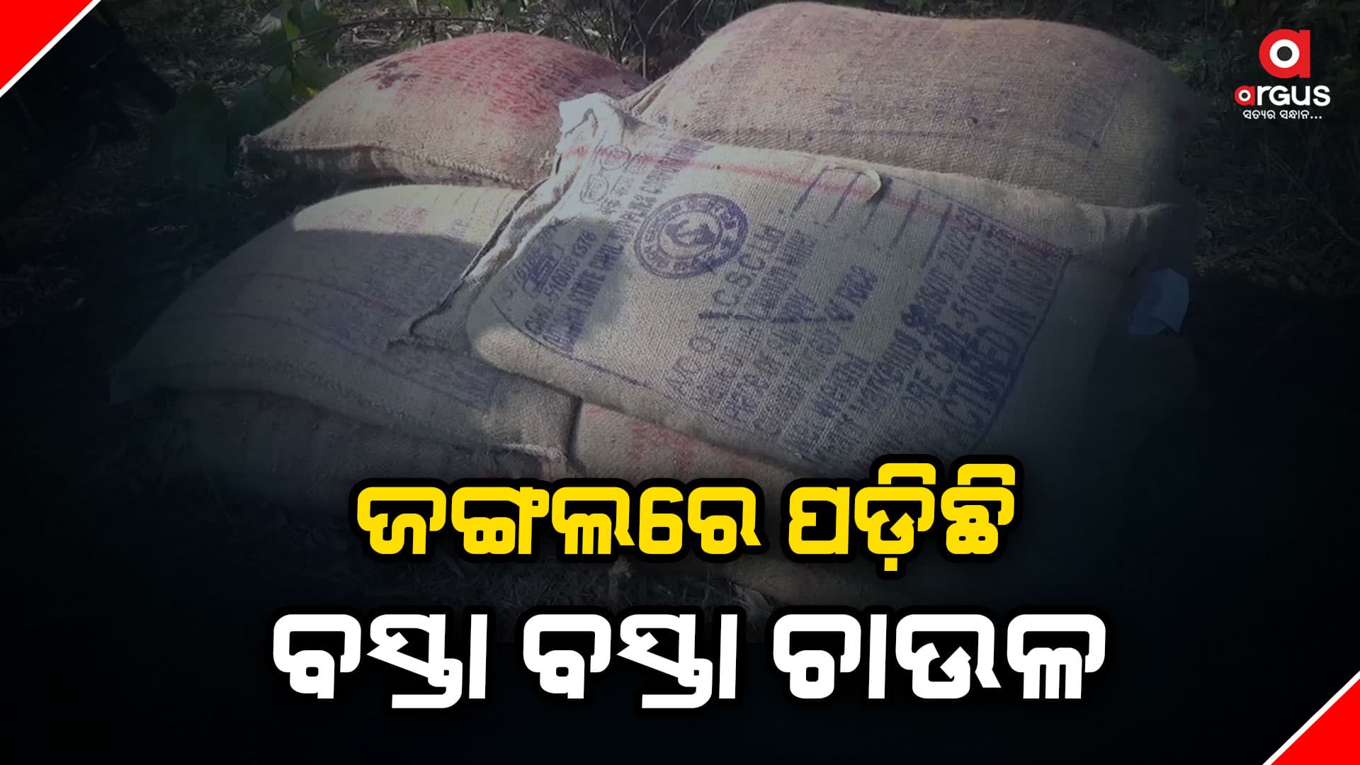 ଜଙ୍ଗଲରେ ପଡିଛି ବସ୍ତା ବସ୍ତା ପିଡିଏସ୍ ଚାଉଳ