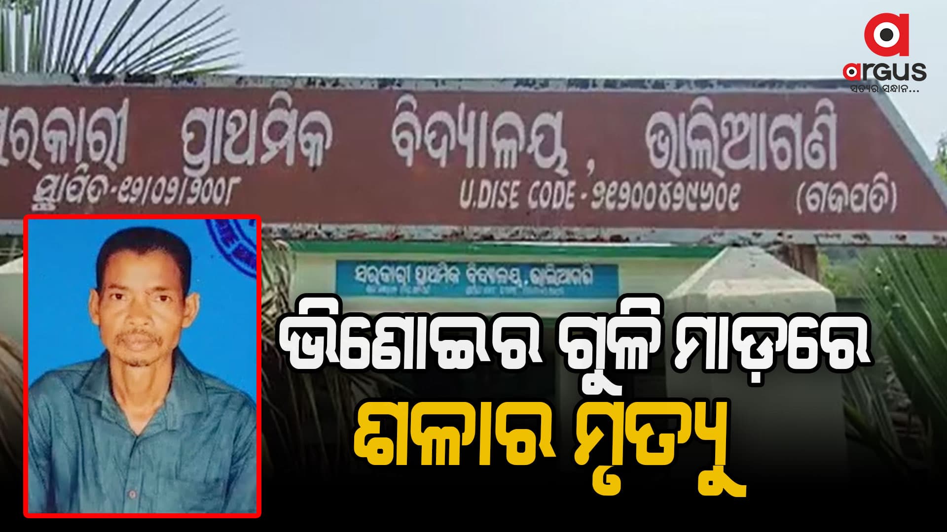 ଭିଣୋଇର ଗୁଳି ମାଡ଼ରେ ଶଳାର ମୃତ୍ୟୁ
