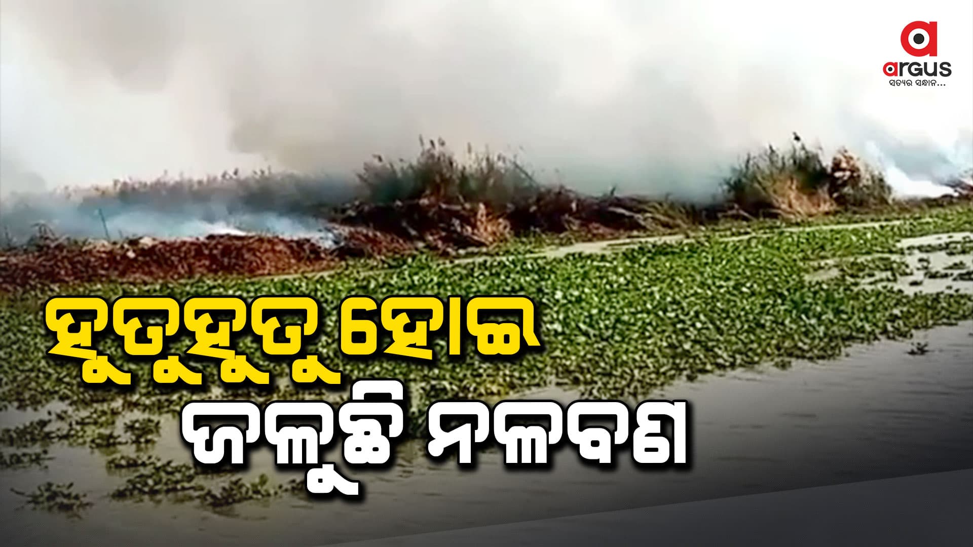 ଚିଲିକା ନଳବଣରେ ଲାଗିଛି ନିଆଁ