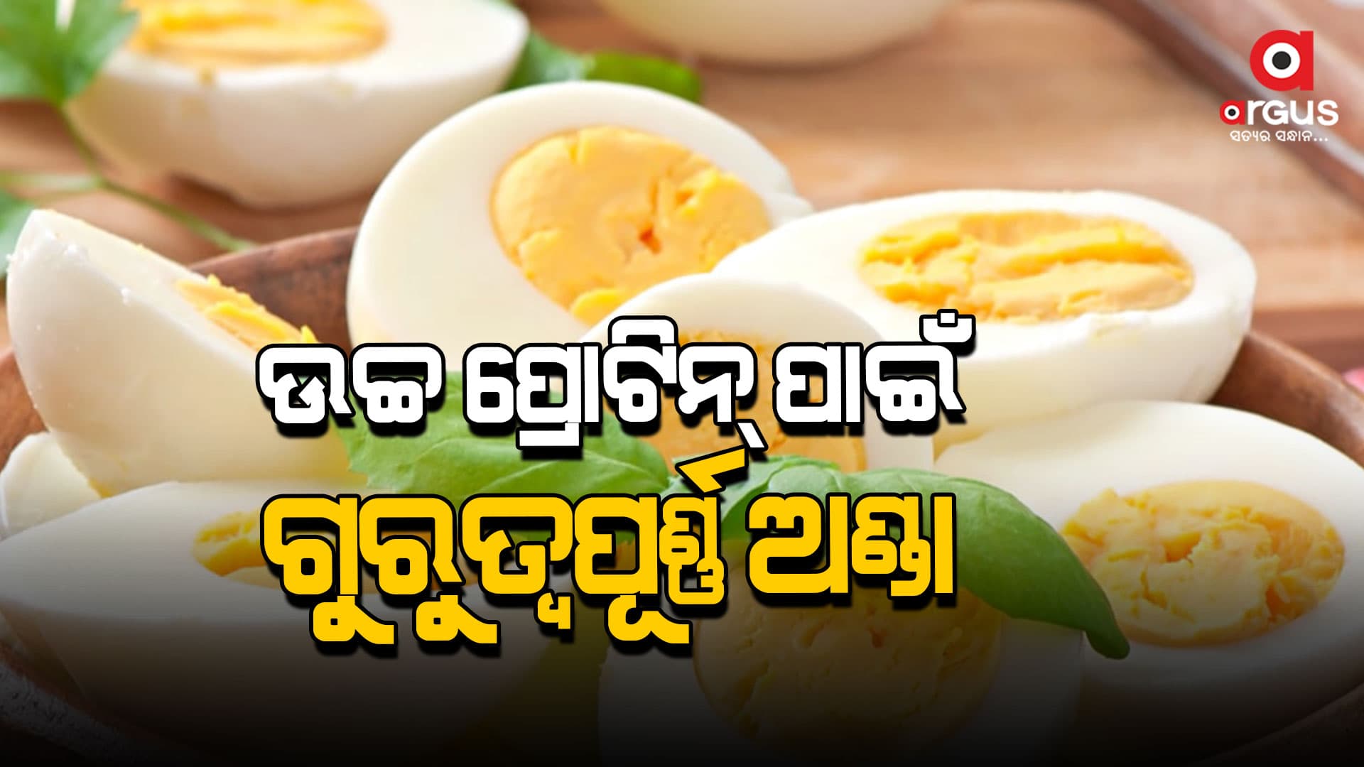 ଅଣ୍ଡାରେ ଭିଟାମିନ୍ ଏବଂ ମିନେରାଲ୍ସର ପ୍ରଚୁର ମାତ୍ରରେ ମିଳିଥାଏ