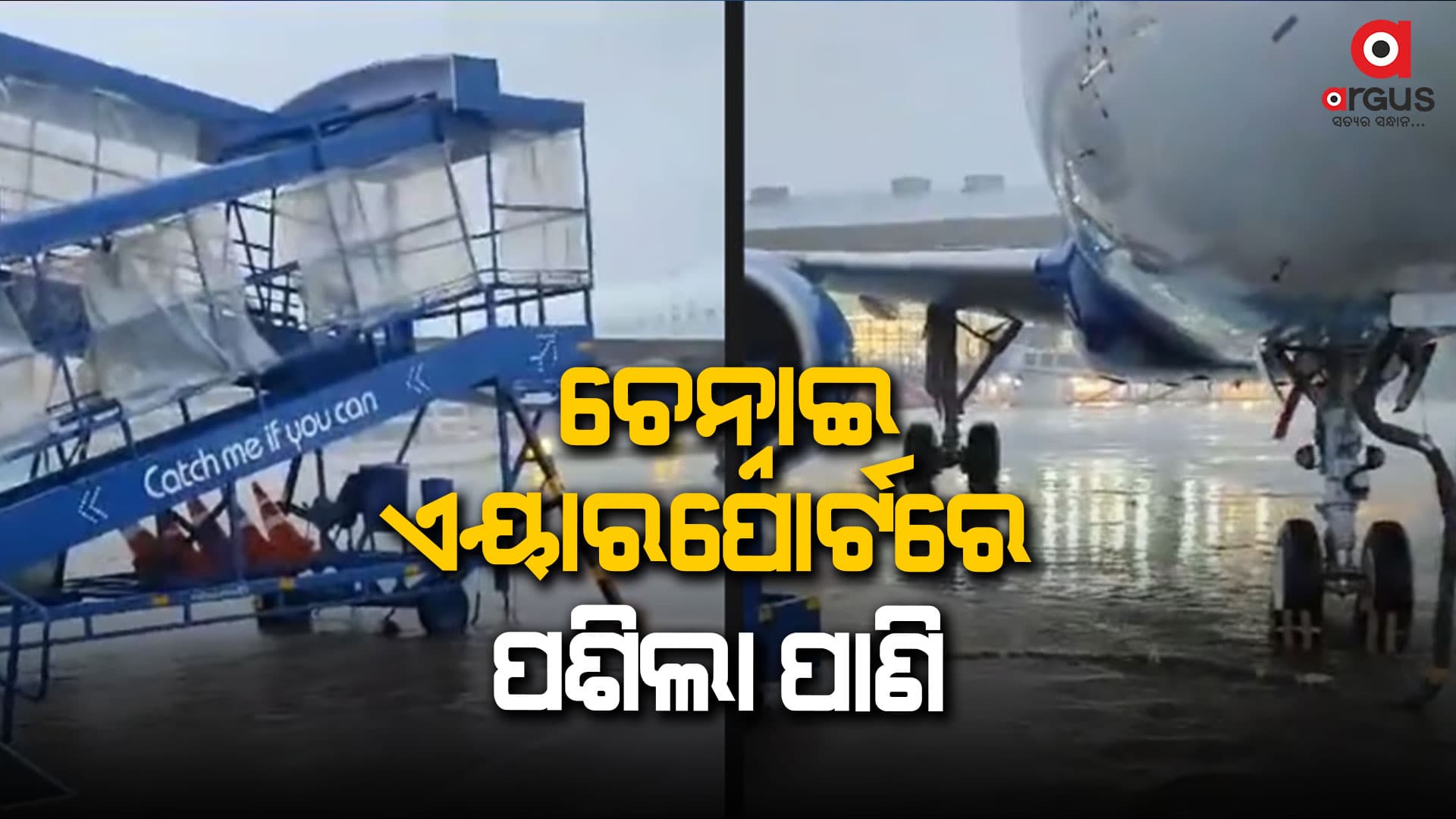 ବାତ୍ୟା ମିଚାଓଙ୍ଗ ପ୍ରଭାବ: ପ୍ରବଳ ବର୍ଷାରେ ଜଳାର୍ଣ୍ଣବ ହେଲା ଚେନ୍ନାଇ