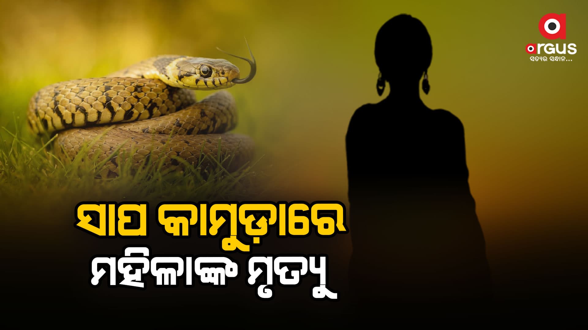 ସାପ କାମୁଡ଼ାରେ ମହିଳାଙ୍କ ମୃତ୍ୟୁ