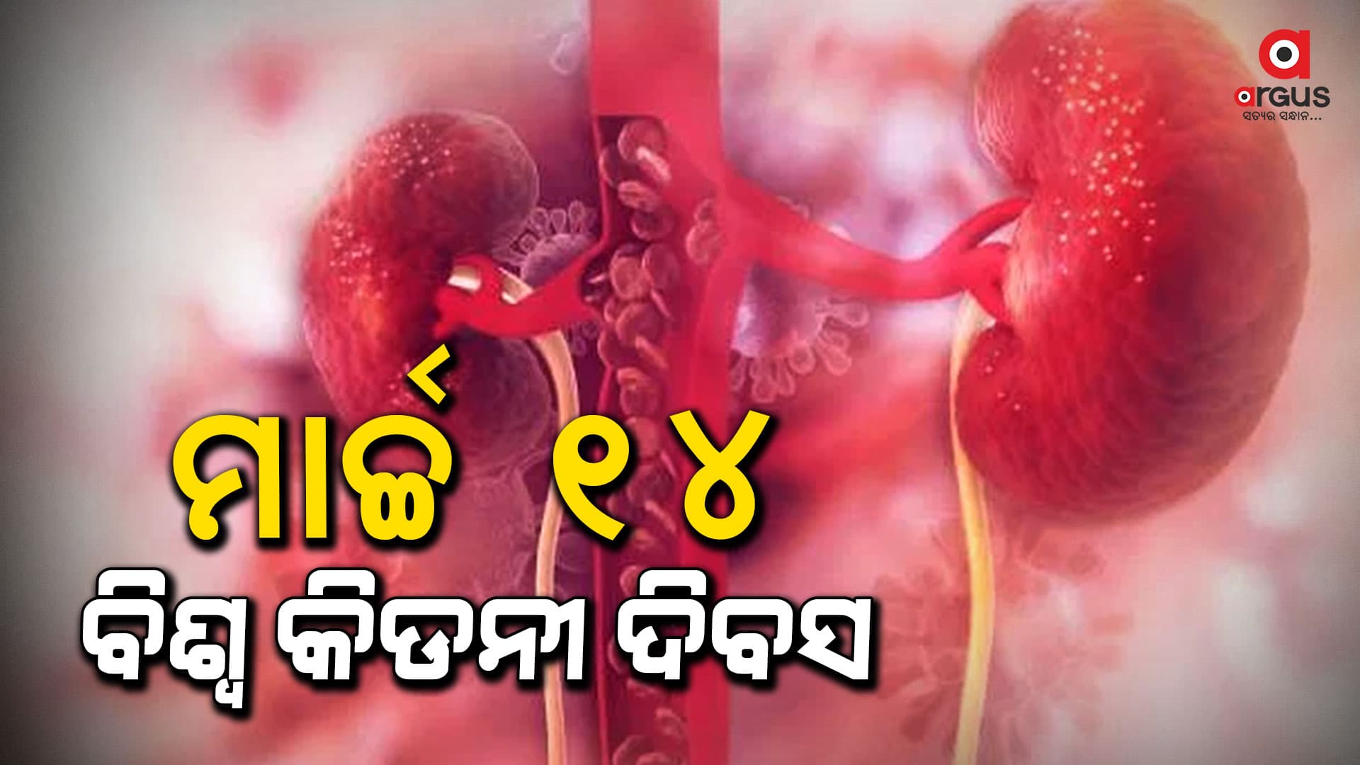 ମାର୍ଚ୍ଚ ୧୪ ବିଶ୍ୱ କିଡନୀ ଦିବସ, ଜାଣନ୍ତୁ ଏହାର ଲକ୍ଷଣ