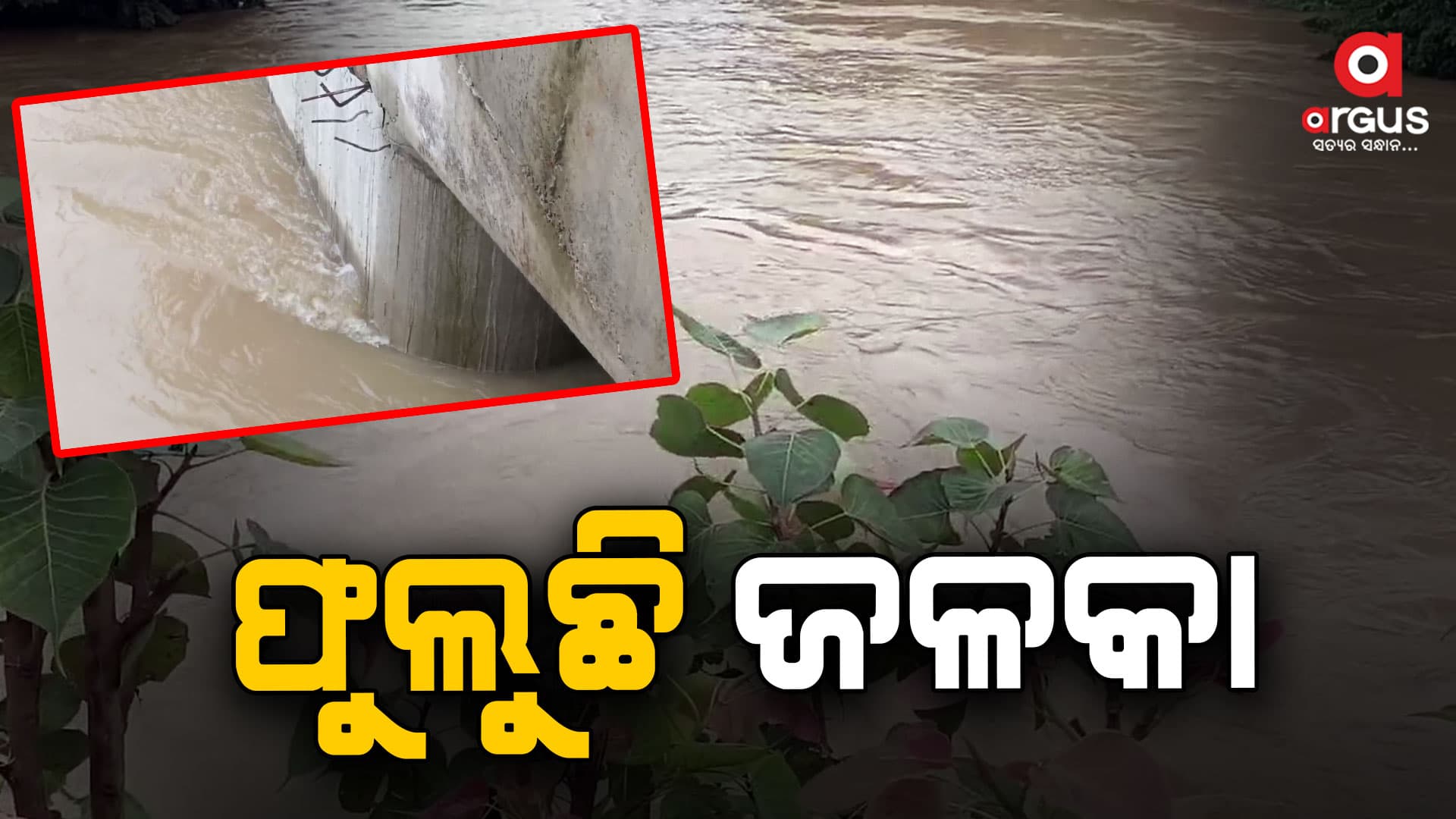 ଲଘୁଚାପ ଜନିତ ଲଗାଣ ବର୍ଷାରେ ବଢୁଛି ନଦୀ ଜଳସ୍ତର