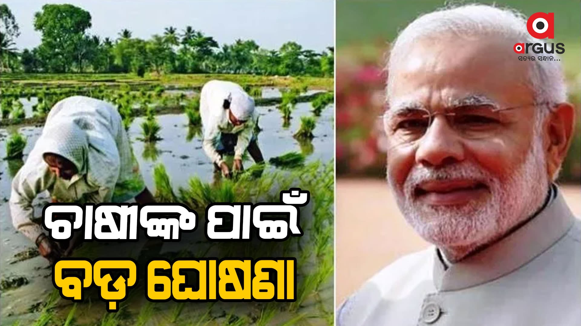 ରବି ଫସଲଗୁଡ଼ିକ ସର୍ବନିମ୍ନ ସହାୟକ ମୂଲ୍ୟ ବଢ଼ାଇଲେ ମୋଦି ସରକାର