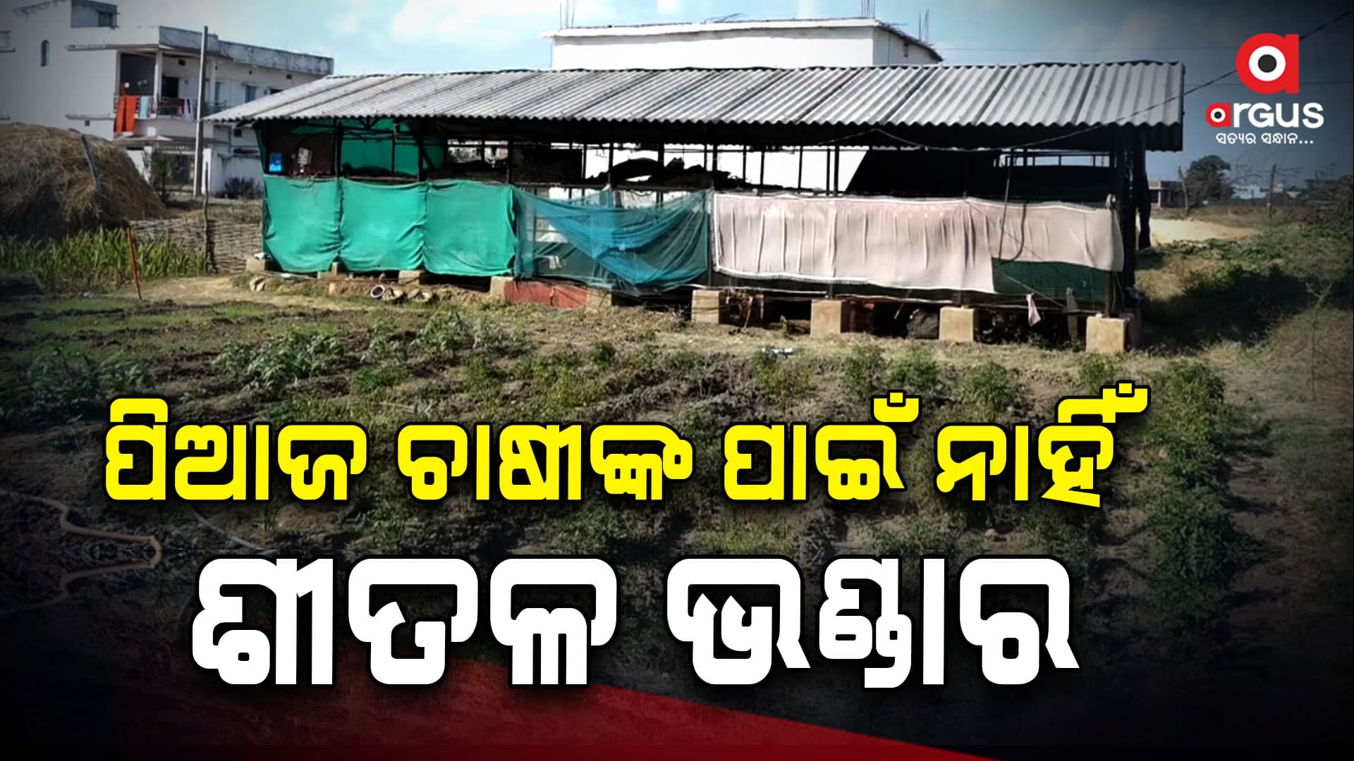 ପିଆଜ ଚାଷୀଙ୍କ ପାଇଁ ନାହିଁ ଶୀତଳ ଭଣ୍ଡାର