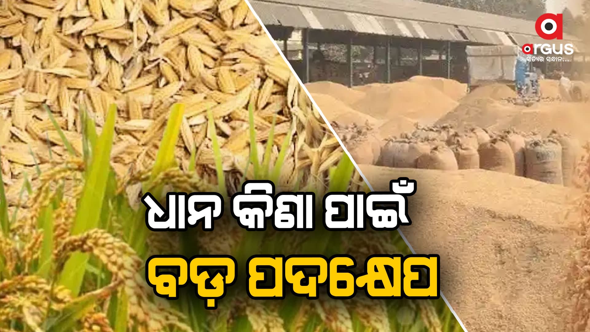 ଧାନ କିଣାକୁ ବ୍ୟବସ୍ଥିତ କରିବା ପାଇଁ ରାଜ୍ୟ ପରିବହନ ବିଭାଗର ବଡ଼ ପଦକ୍ଷେପ
