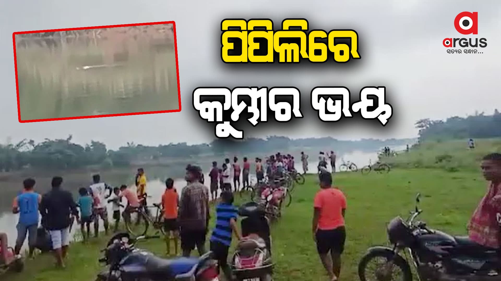 ଦୟା ନଦୀରେ କୁମ୍ଭୀର ଆତଙ୍କ, ଲୋକେ ଭୟଭୀତ