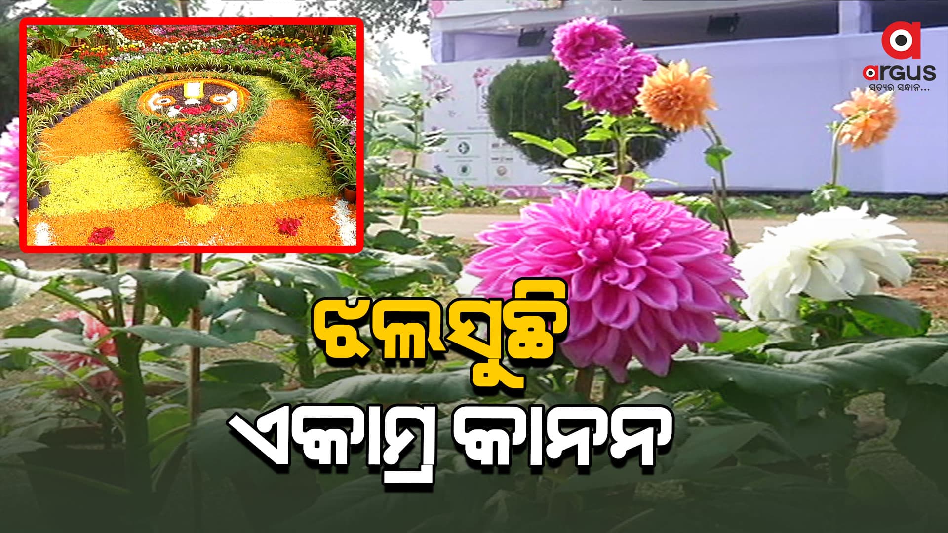 ରାଜଧାନୀରେ ଦୁଇଦିନିଆ ରାଜ୍ୟସ୍ତରୀୟ ପୁଷ୍ପ ପ୍ରଦର୍ଶନୀ