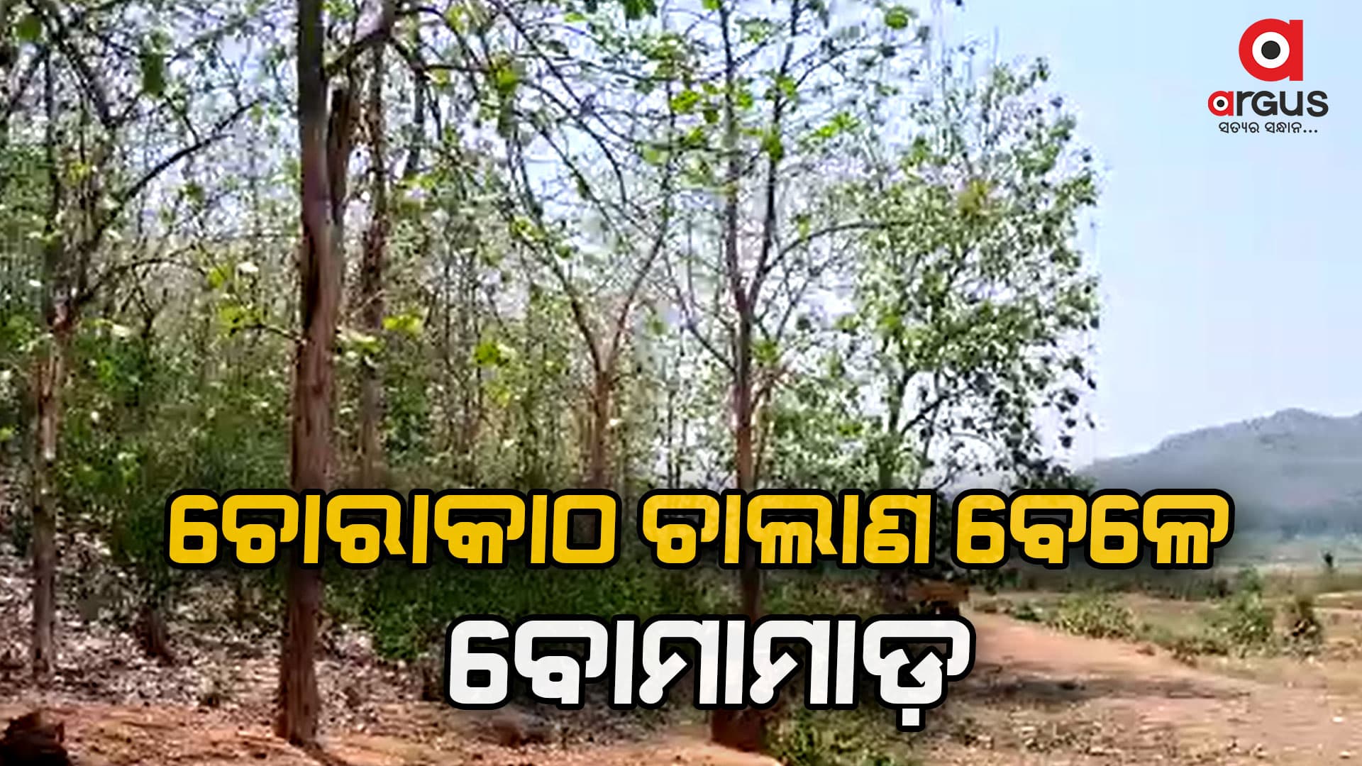 ମୁହାଁମୁହିଁ ହେଲେ କାଠ ମାଫିଆ ଓ ଗ୍ରାମବାସୀ