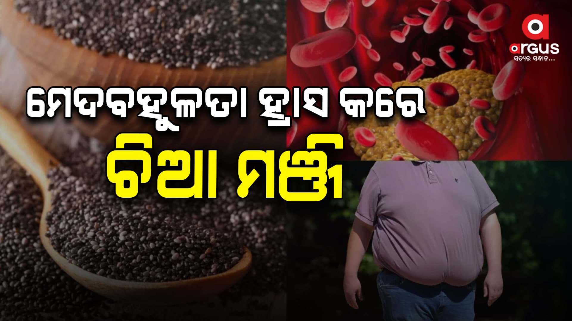 କୋଲେଷ୍ଟ୍ରଲ ପାଇଁ ଚିଆ ମଞ୍ଜି