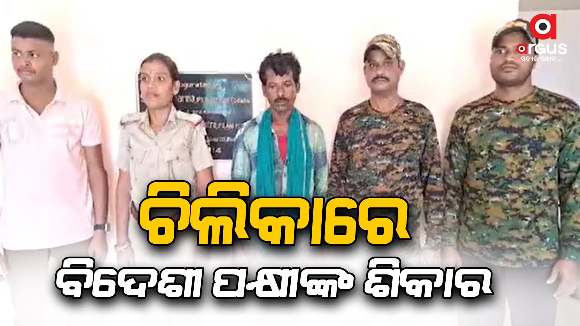 ୧୮ଟି ମୃତ ବିଦେଶୀ ପକ୍ଷୀଙ୍କ ସହିତ ଗୋଟିଏ ଜୀବନ୍ତ ବିଦେଶୀ ପକ୍ଷୀ ଜବତ 