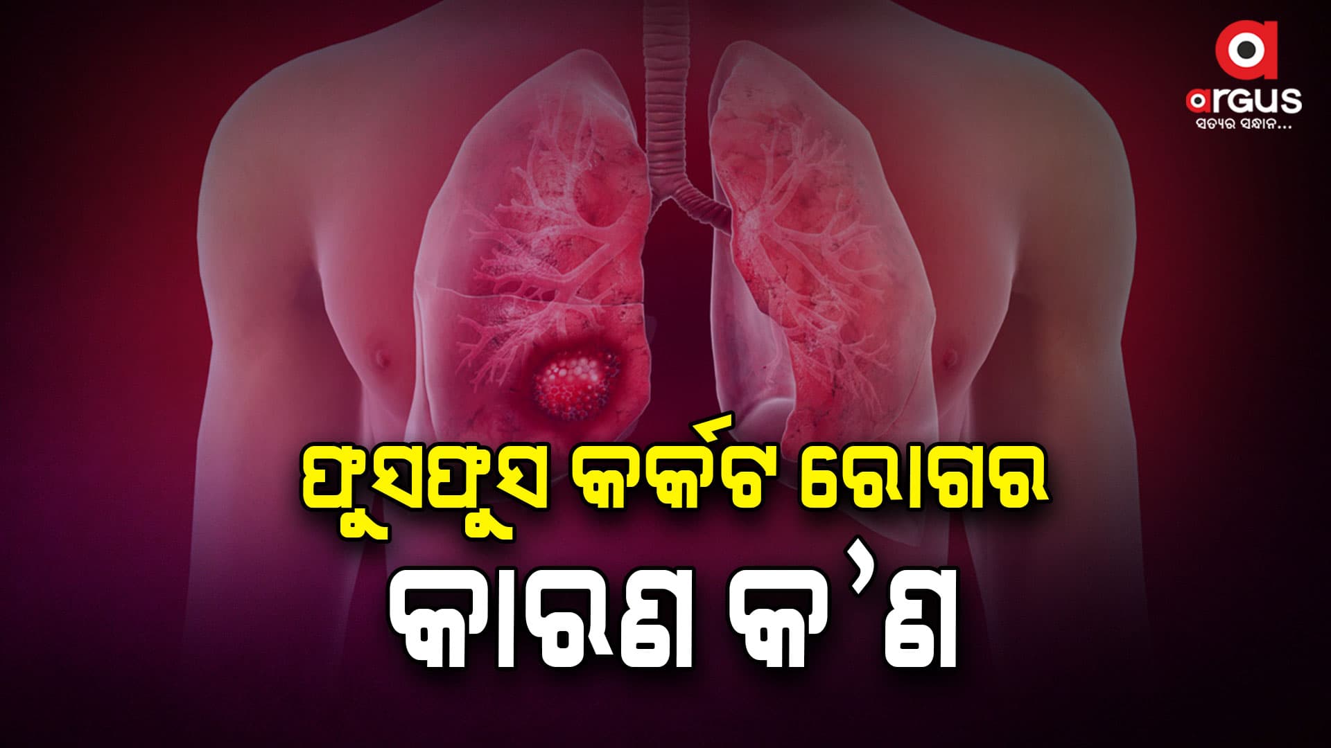 ବିଶ୍ୱ ଫୁସଫୁସ କର୍କଟ ଦିବସ