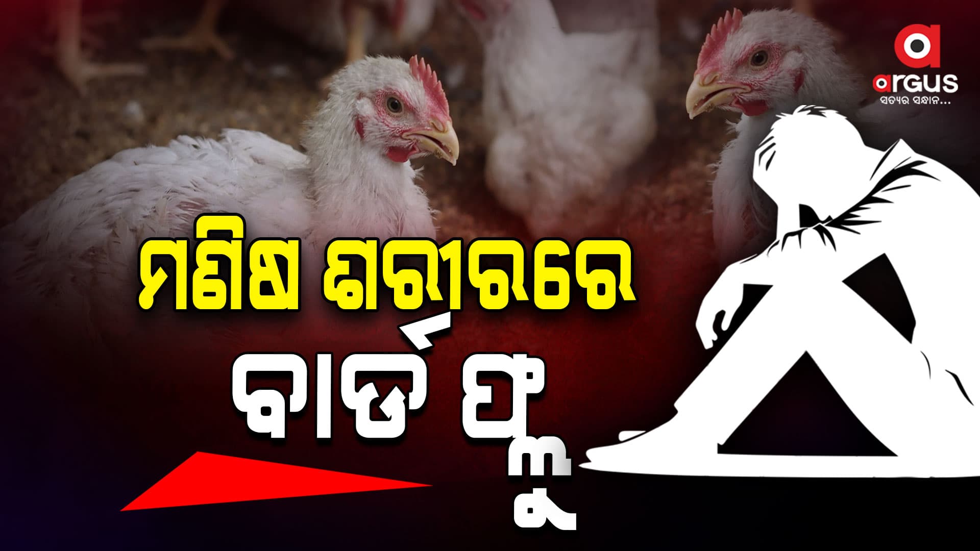 ମଣିଷ ଦେହରେ ବାର୍ଡ ଫ୍ଲୁ ଚିହ୍ନଟ ପରେ ସ୍ବାସ୍ଥ୍ୟ ବିଭାଗ ଆଲର୍ଟ
