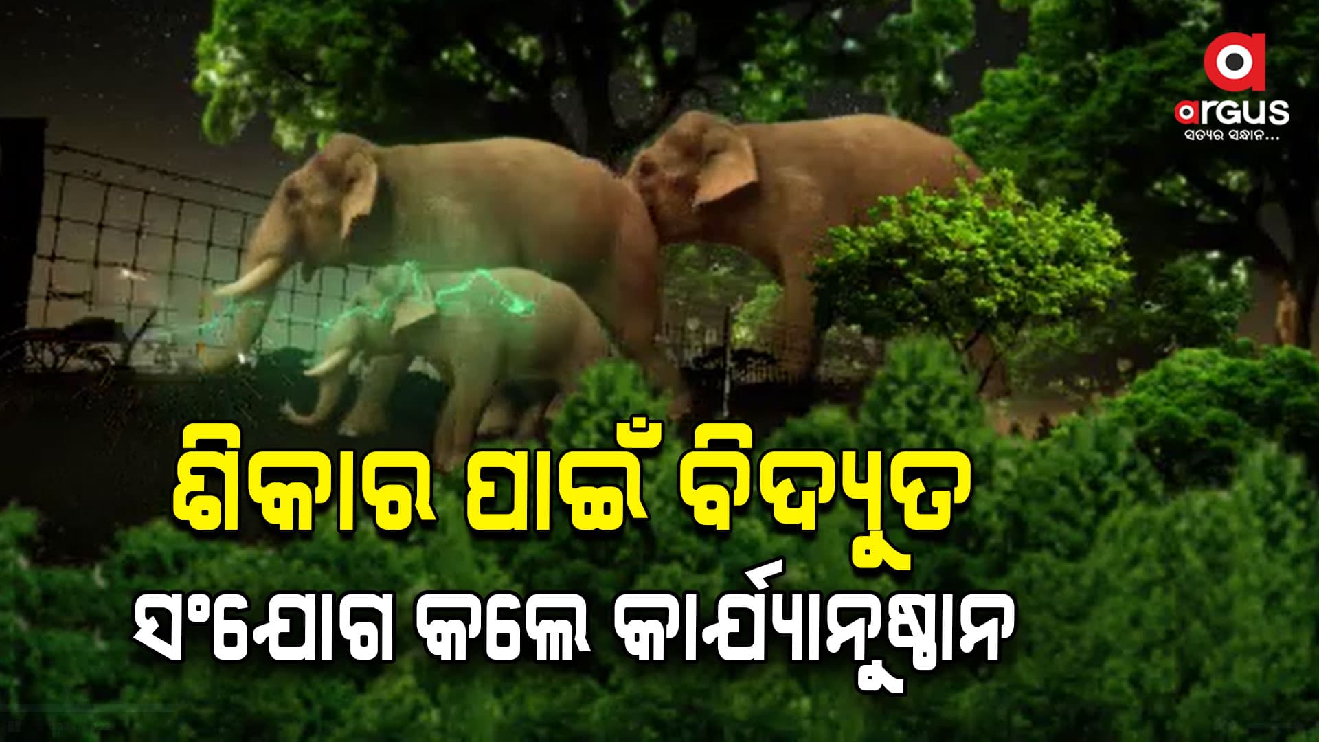 ଯନ୍ତୁ ଶିକାର କରିବାକୁ କରେଣ୍ଟ ବ୍ୟବହାର କରୁଥିଲେ ସାବଧାନ