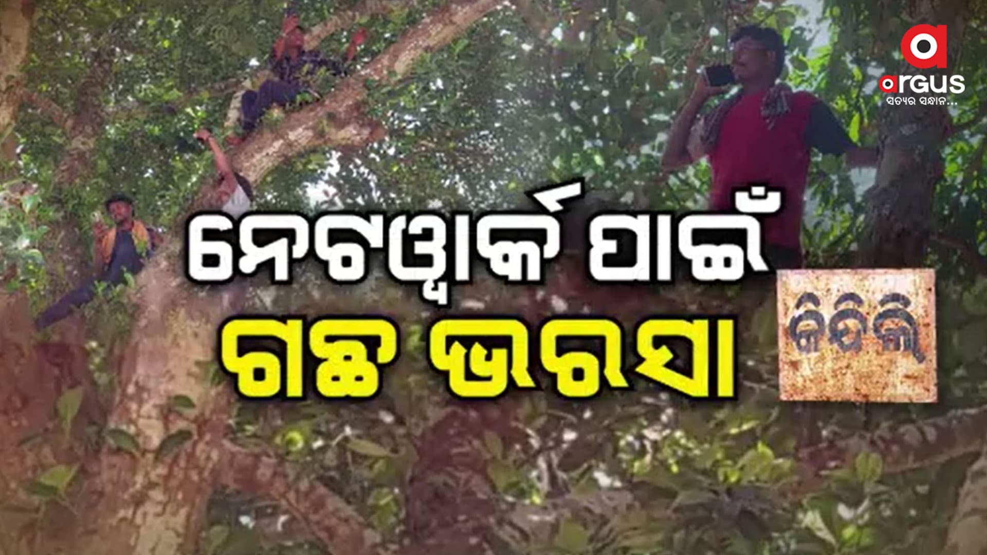 ଗାଁରେ ମିଳୁନି ନେଟୱାର୍କ ସେବା