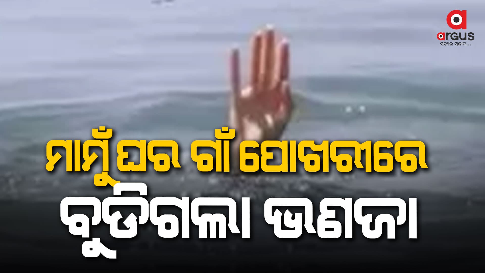 ପୋଖରୀରେ ଗୋଡ଼ ଖସି ଚାଲିଗଲା ଜୀବନ 