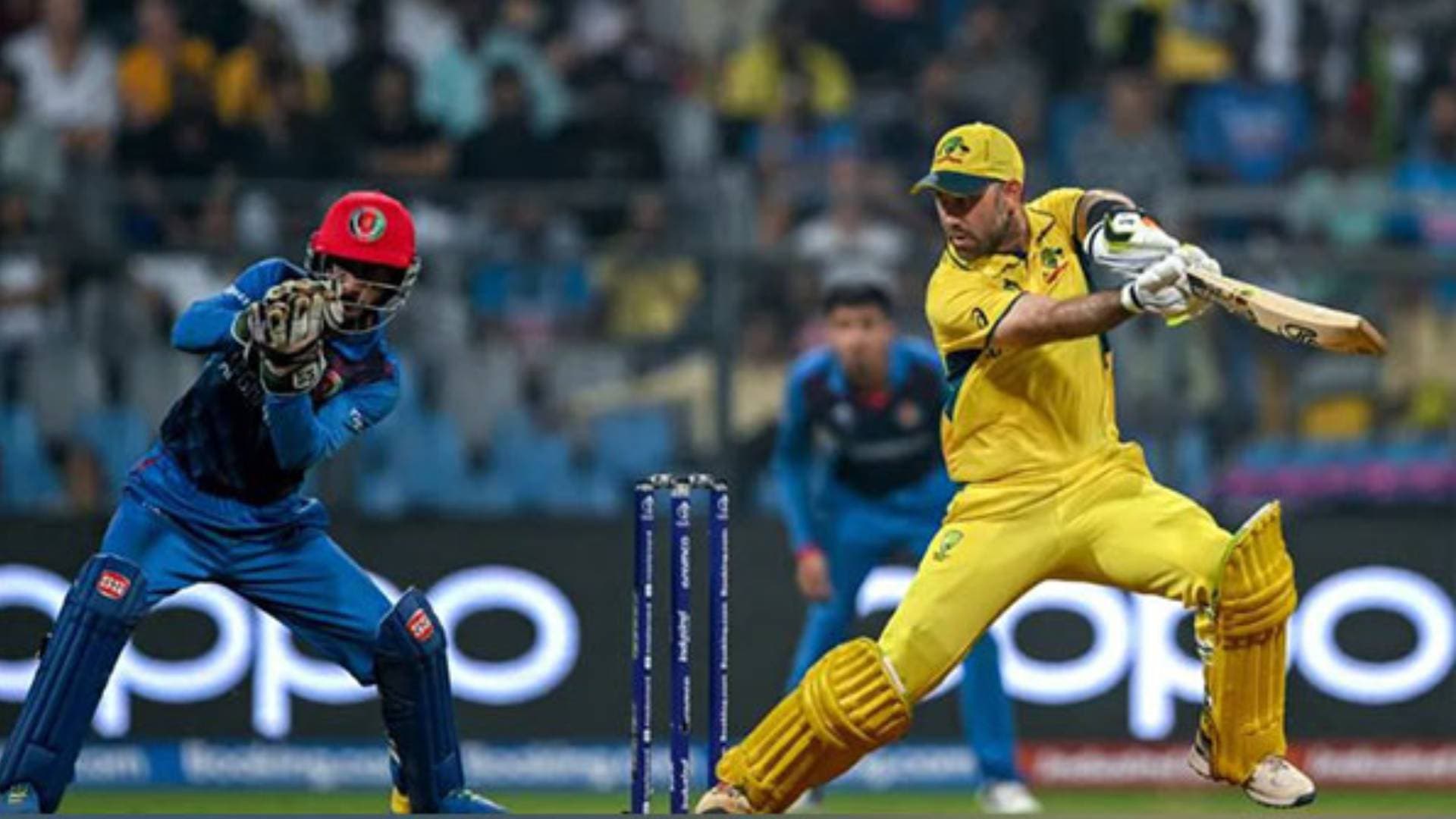 ICC CWC: Glenn Maxwell Rewrites Record Books With Memorable Double Ton Against Afghanistan