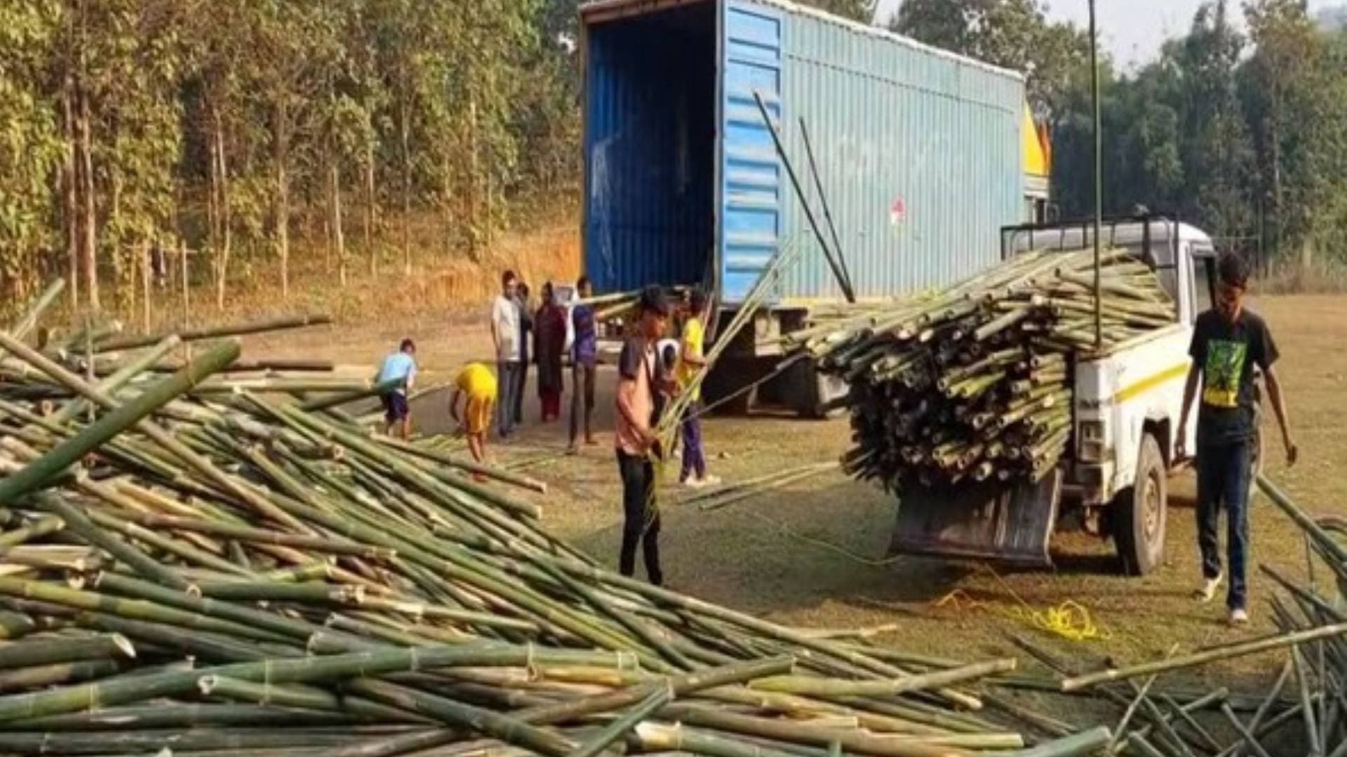 7000 Pieces Of Bamboo Sent To Ayodhya From Assam Ahead Of Ram Temple Consecration Ceremony