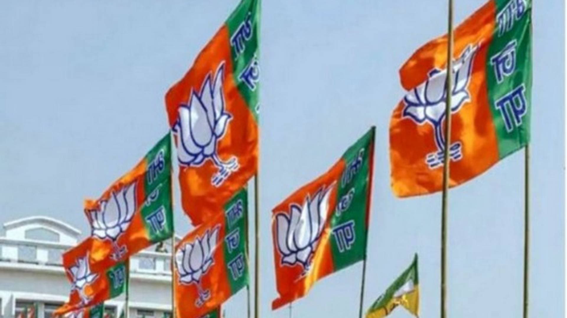 Assam: BJP Wins 25 Seats In North Cachar Hills Autonomous Council